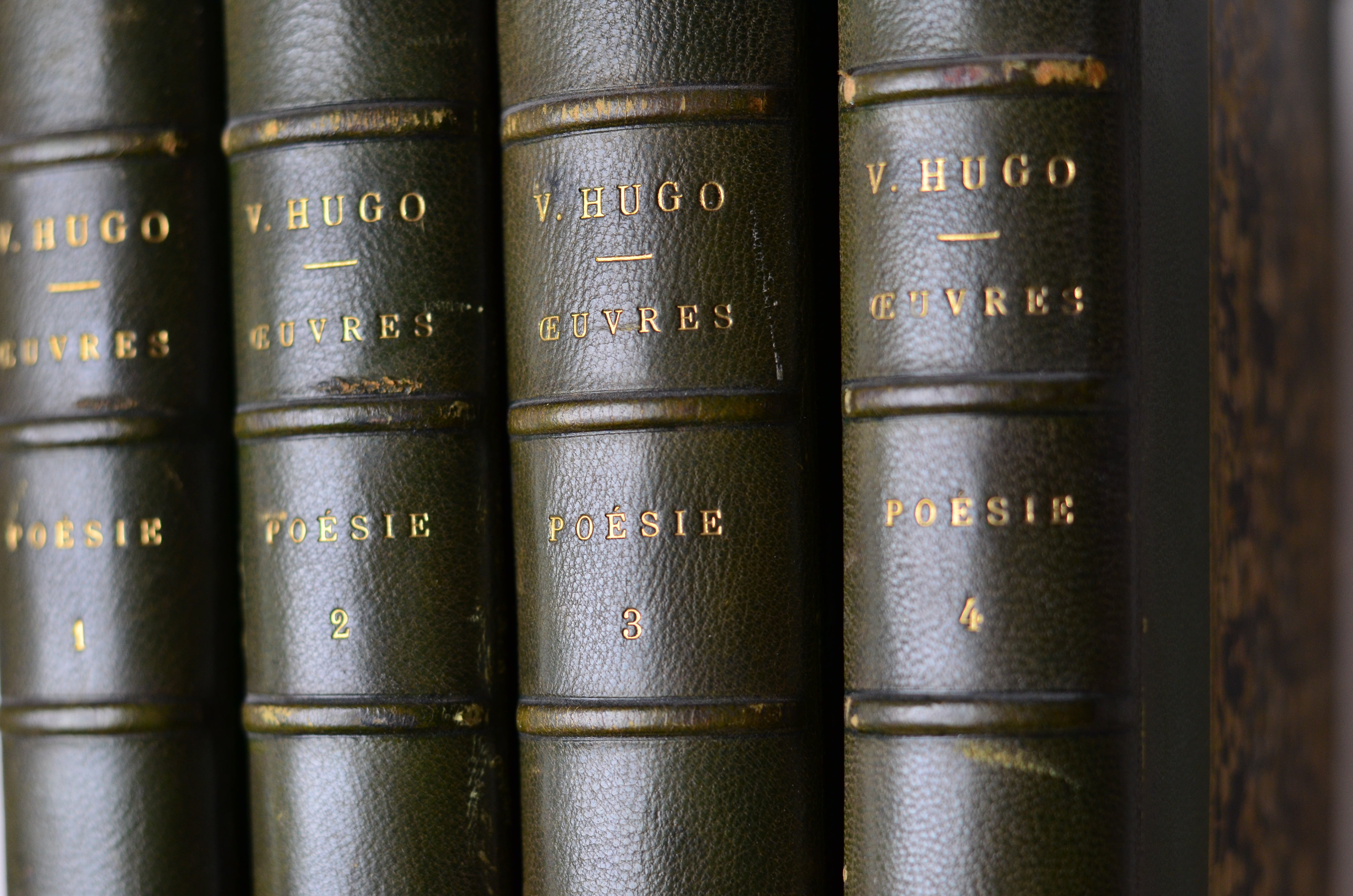 Green Antique Leather Book Set – 4 Books, Victor Hugo