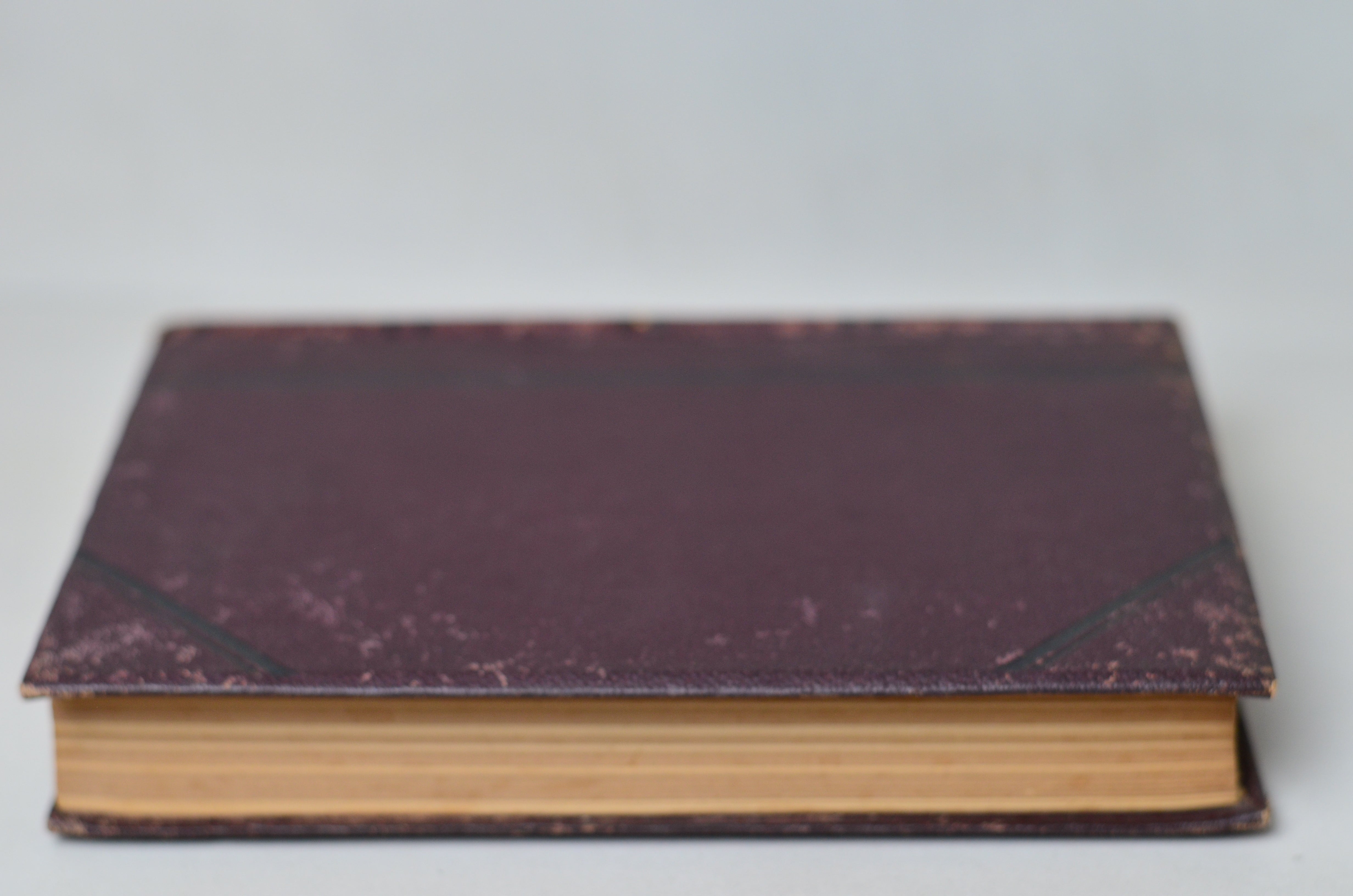 Antique Adam Bede by George Eliot 1884