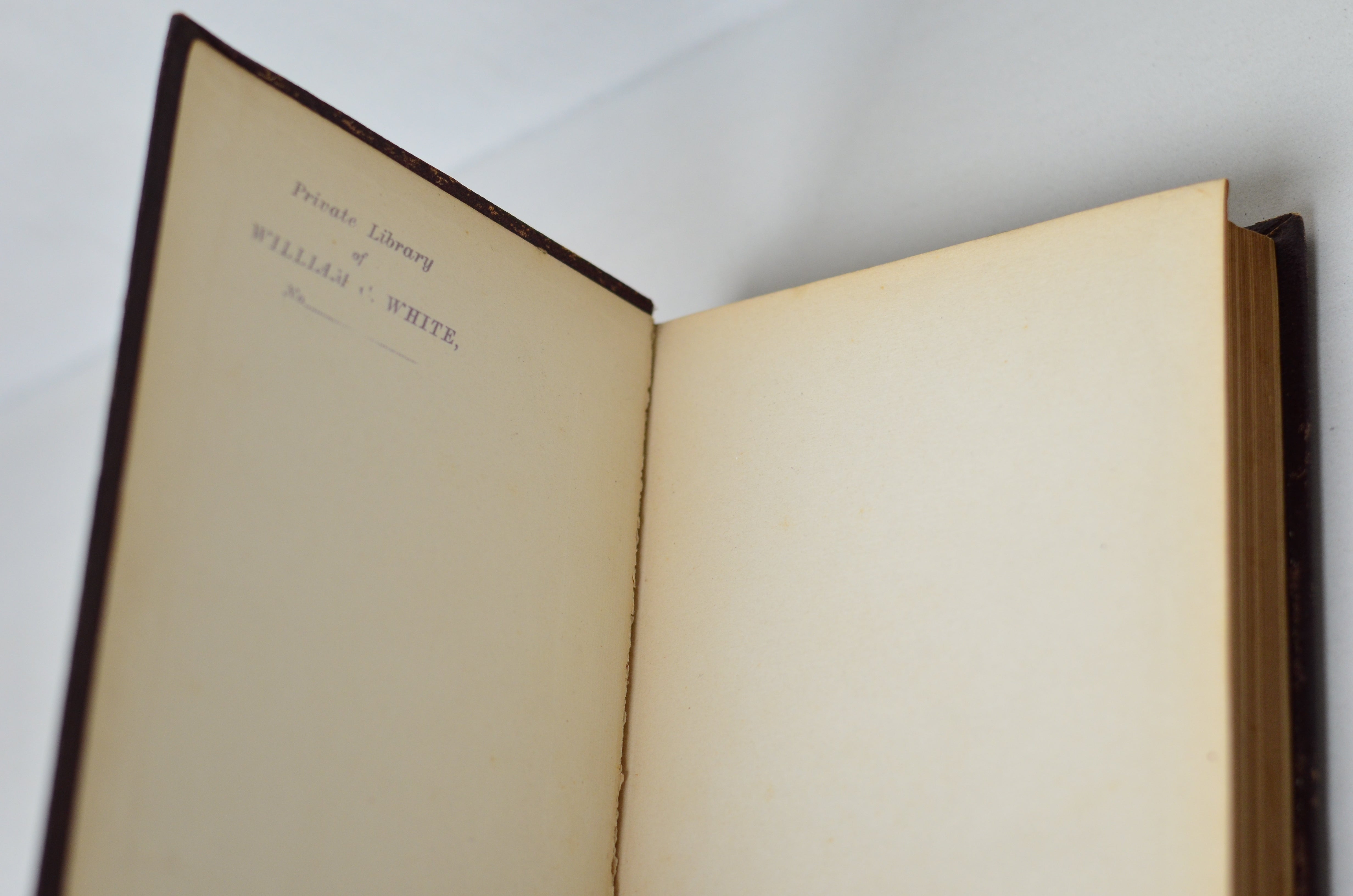 Antique Adam Bede by George Eliot 1884