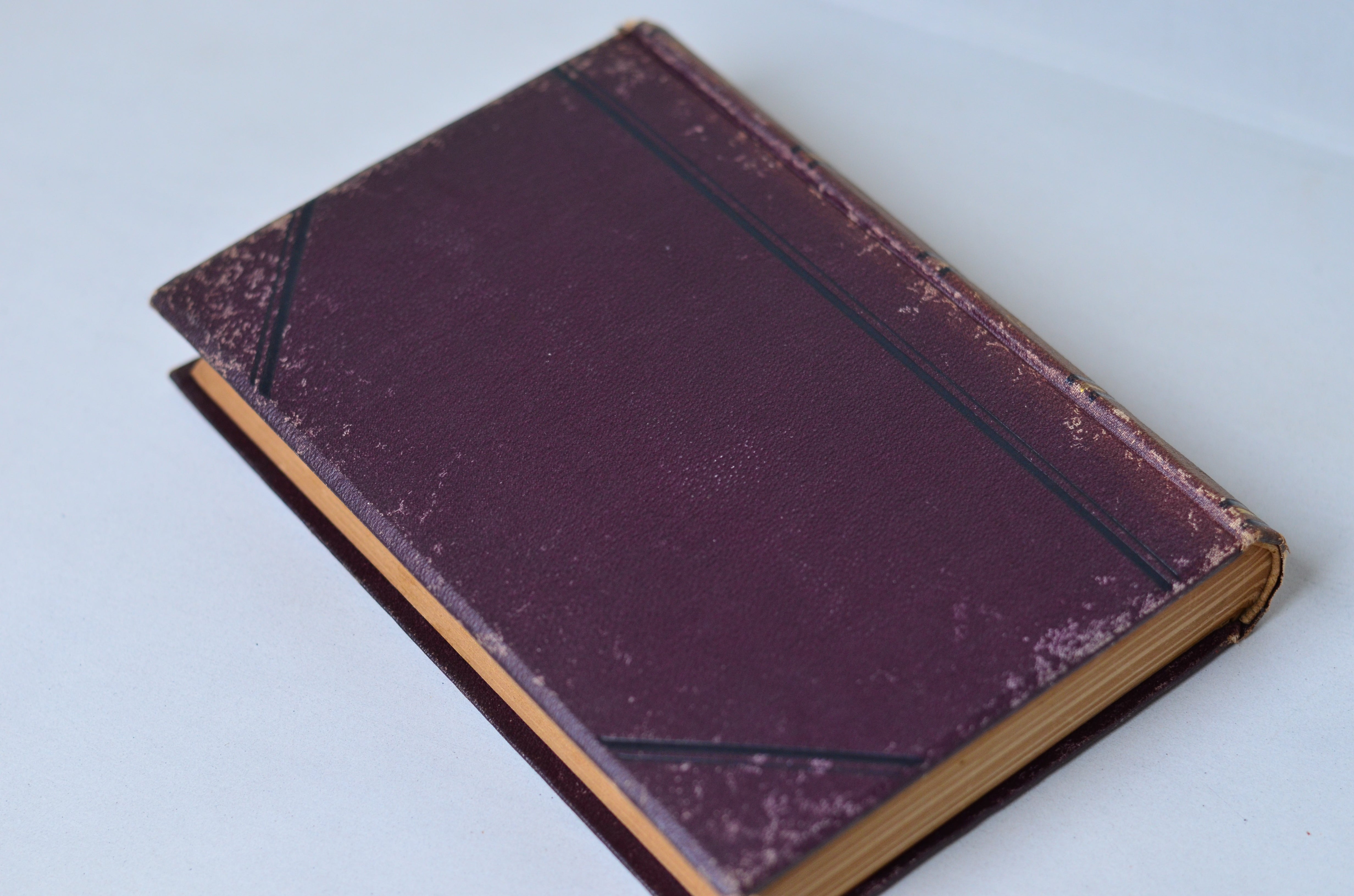 Antique Adam Bede by George Eliot 1884