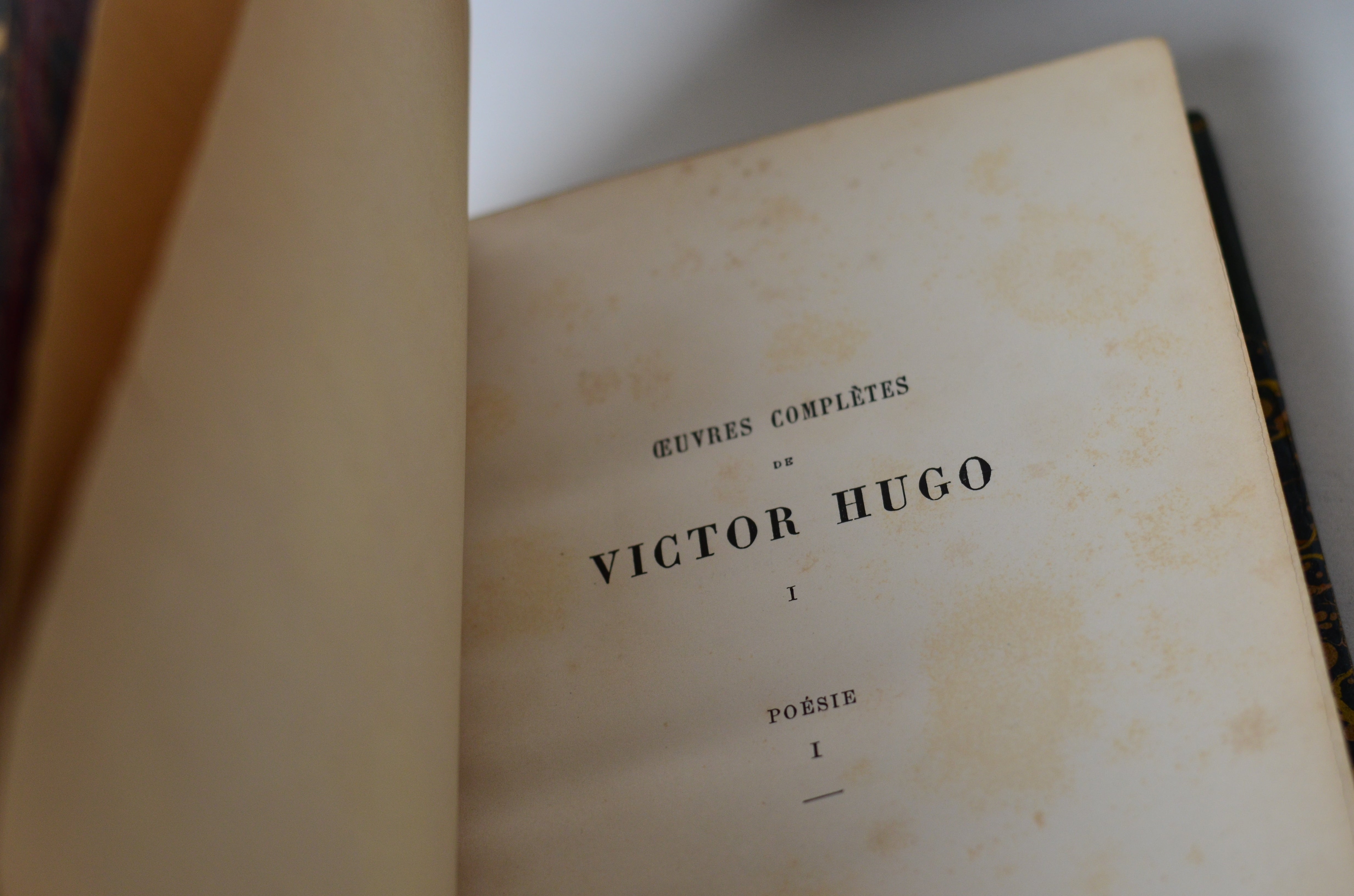 Antique Leather Bound Book Decor - Green, Victor Hugo c. 1880