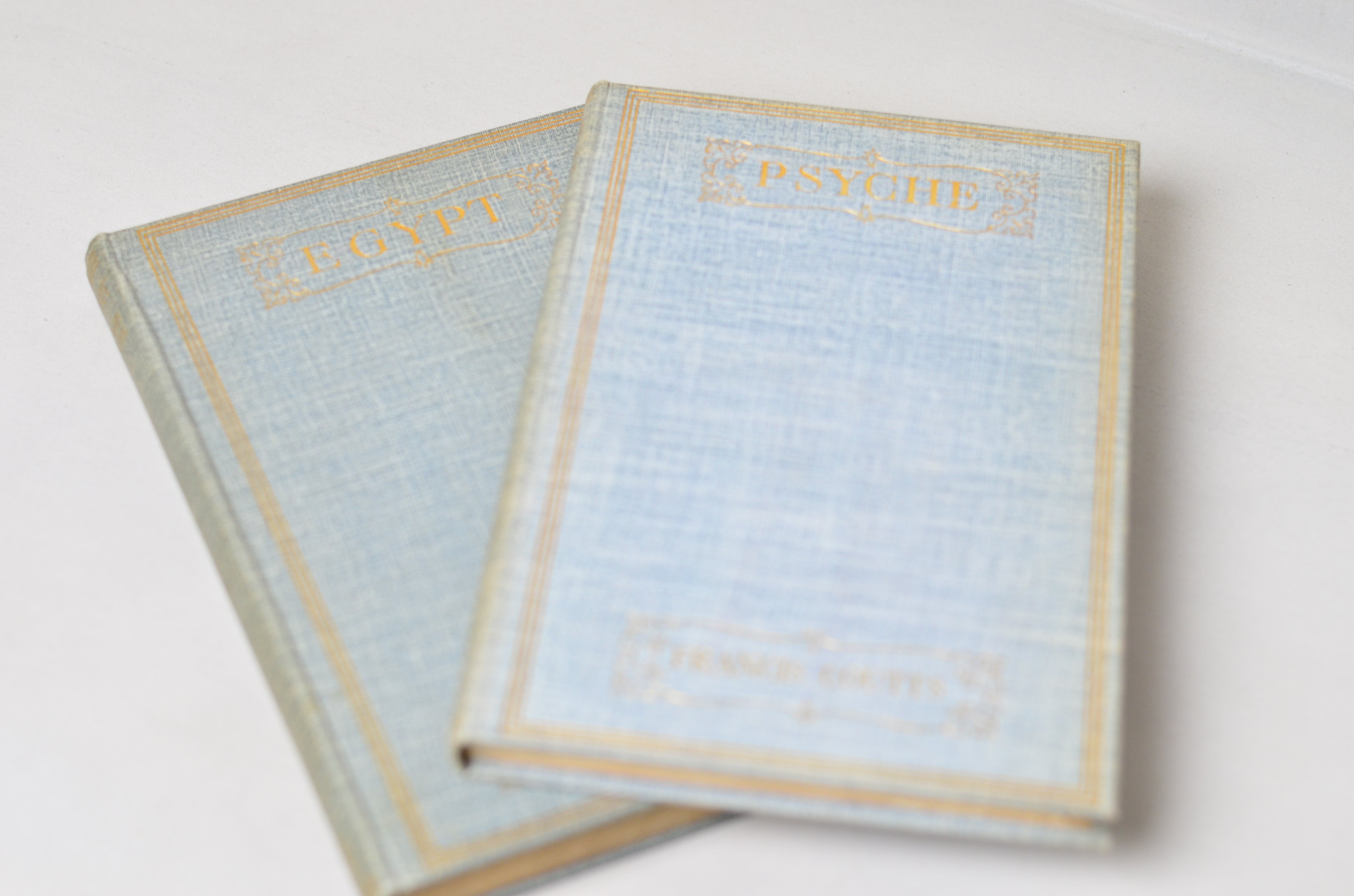 Blue Antique Cloth Book Set – 7 Books, Alexander Pushkin, Edmund Spenser