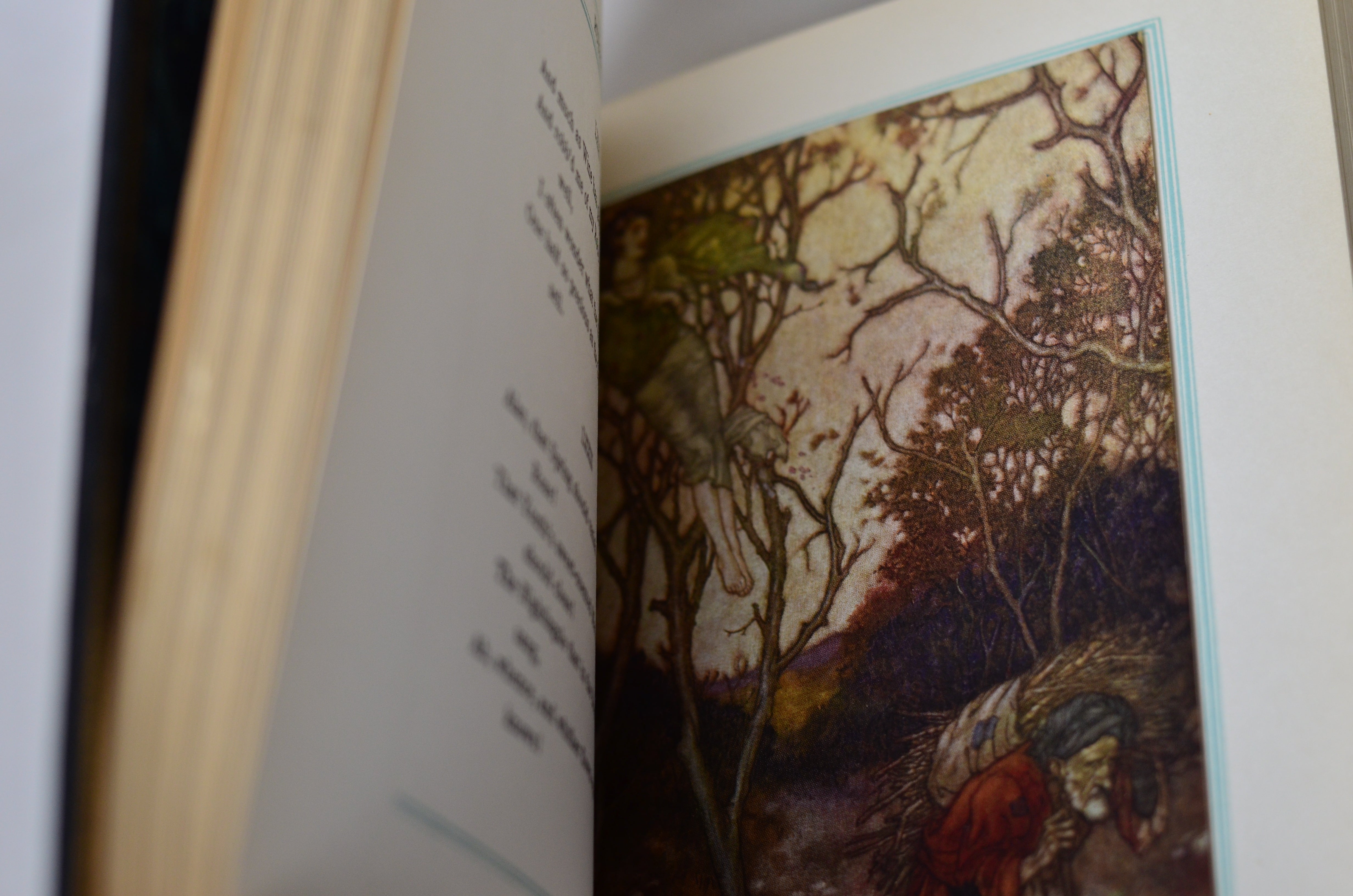 Antique Leather Bound Rubaiyat of Omar Khayyam Illustrated by Edmund Dulac c.1890