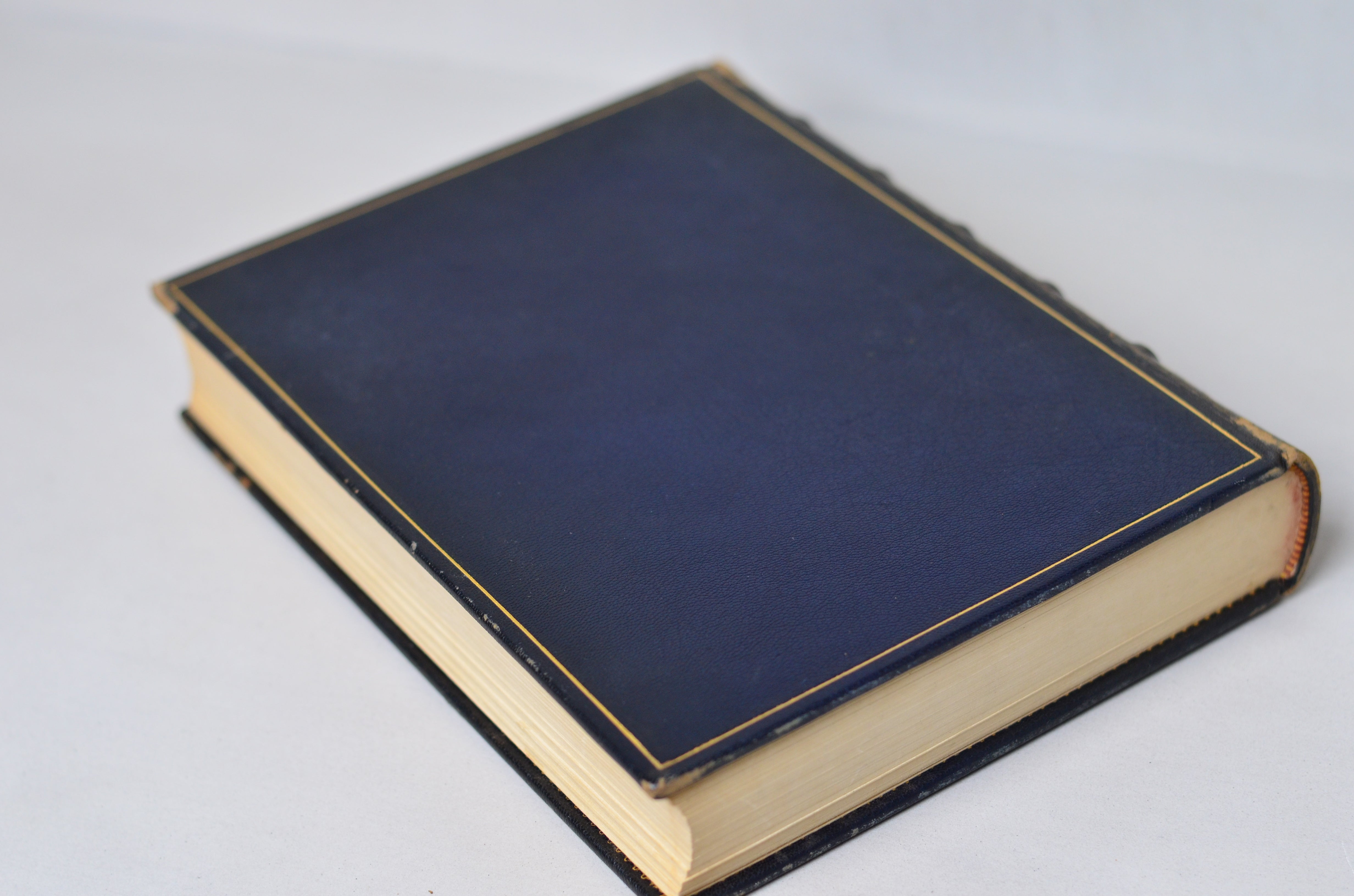 Antique Leather Bound Rubaiyat of Omar Khayyam Illustrated by Edmund Dulac c.1890