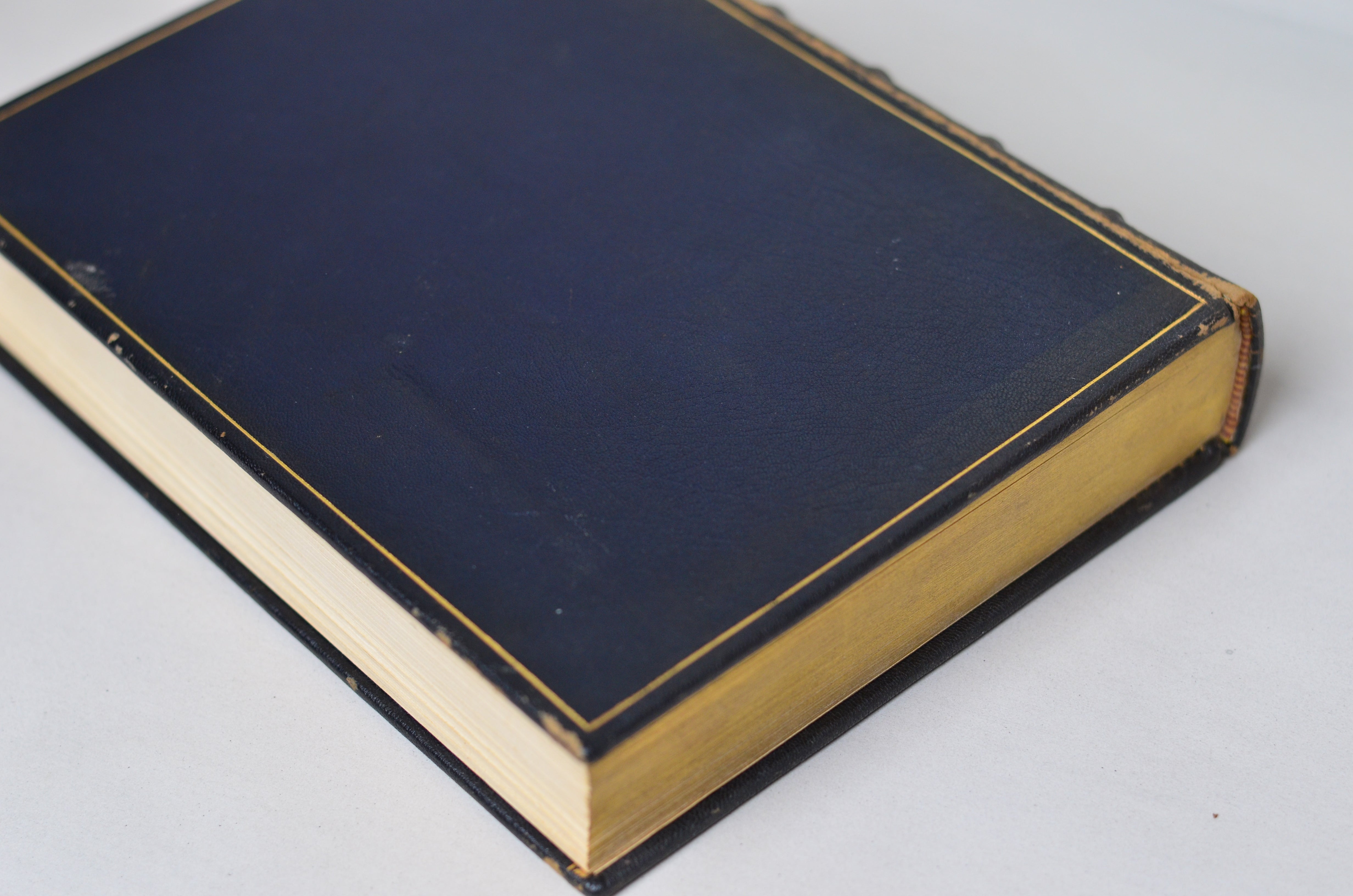 Antique Leather Bound Rubaiyat of Omar Khayyam Illustrated by Edmund Dulac c.1890