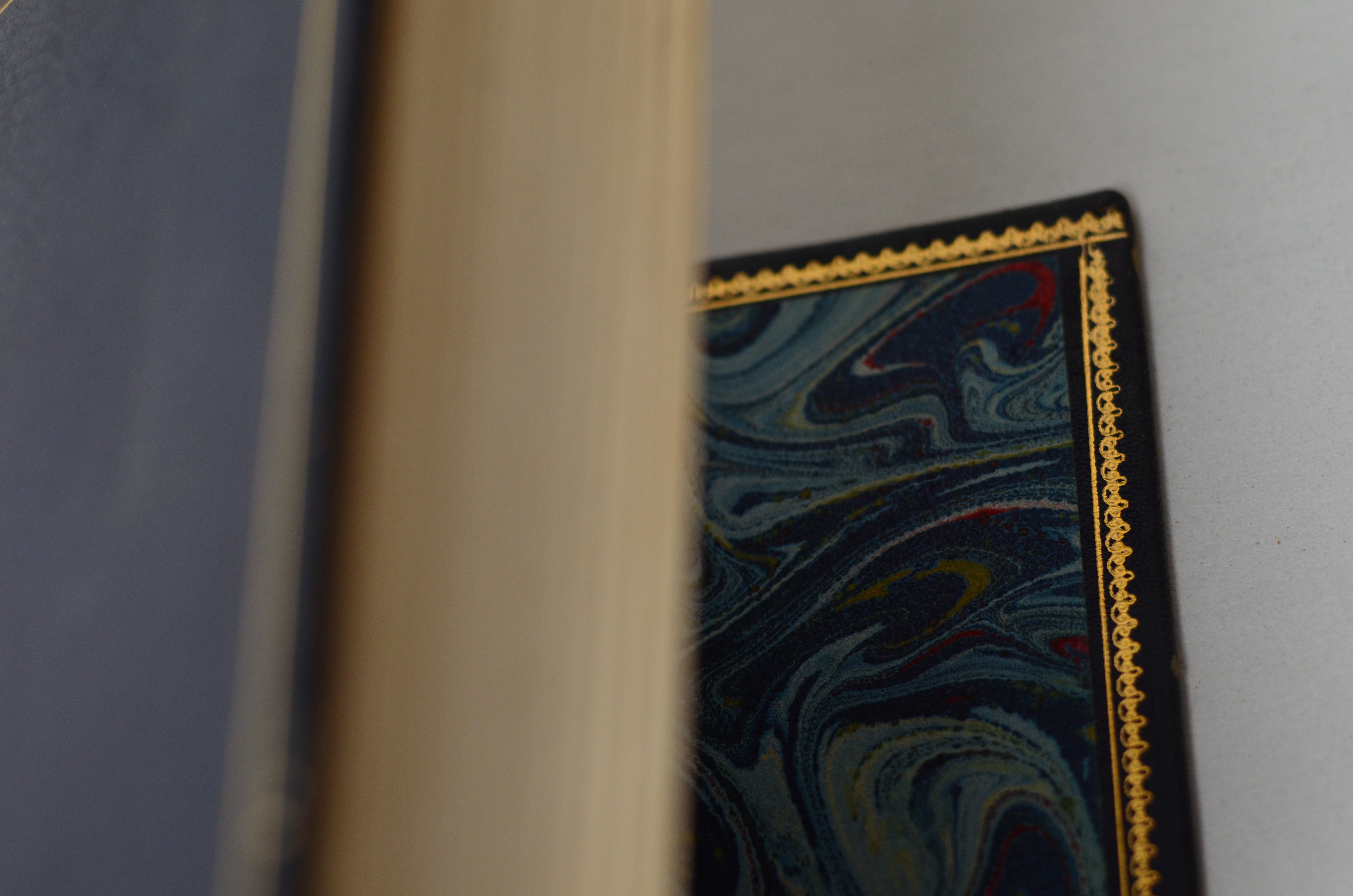Antique Leather Bound Rubaiyat of Omar Khayyam Illustrated by Edmund Dulac c.1890