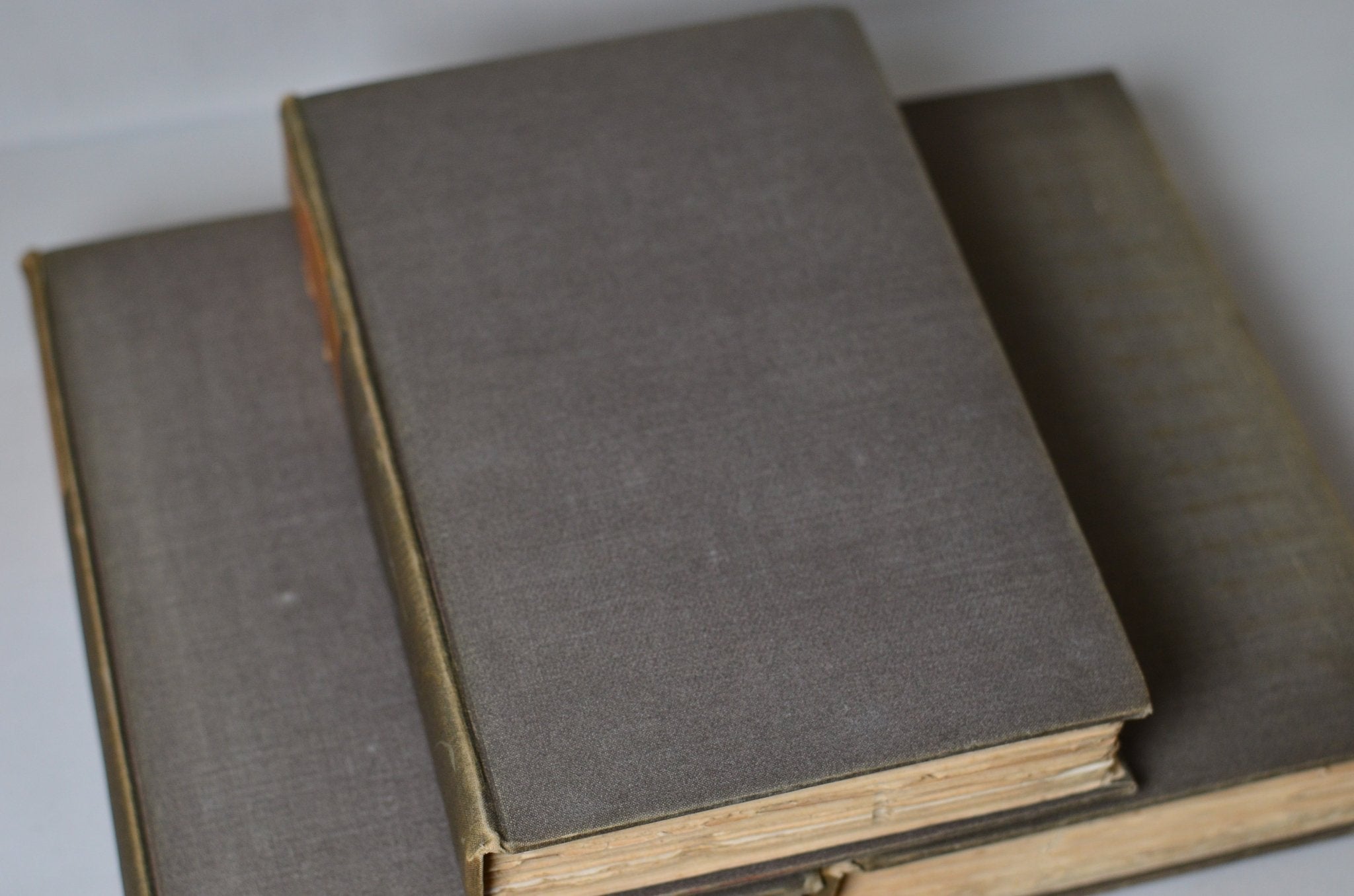 Antique Cloth Bound Book Decor - Gray, History of English Literature - Brookfield Books