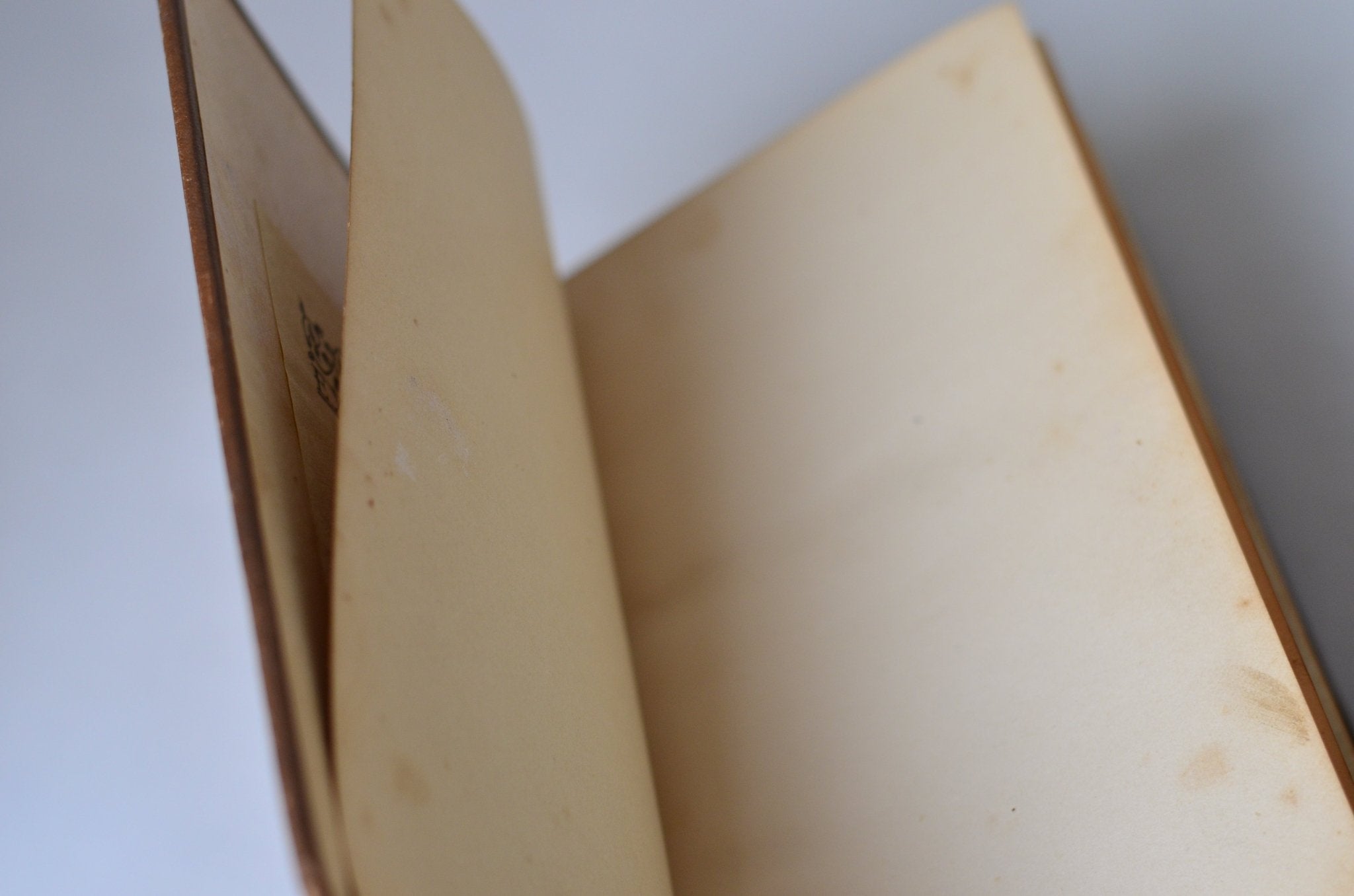 Antique Decorative Binding Poems of Thomas Moore c. 1880 - Brookfield Books