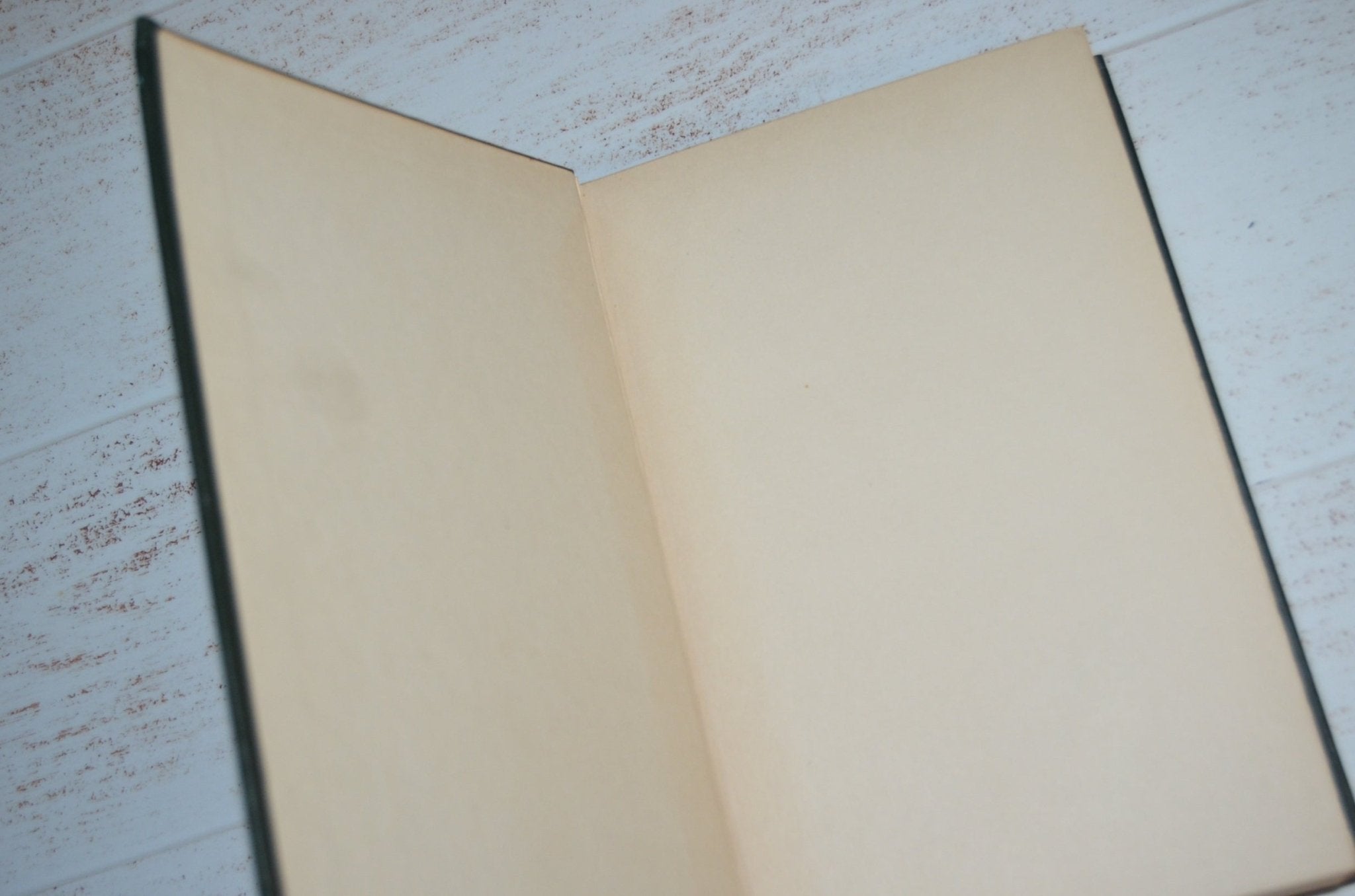 Antique Decorative Cloth Bound Complete Writings of George Eliot 1907 - Brookfield Books