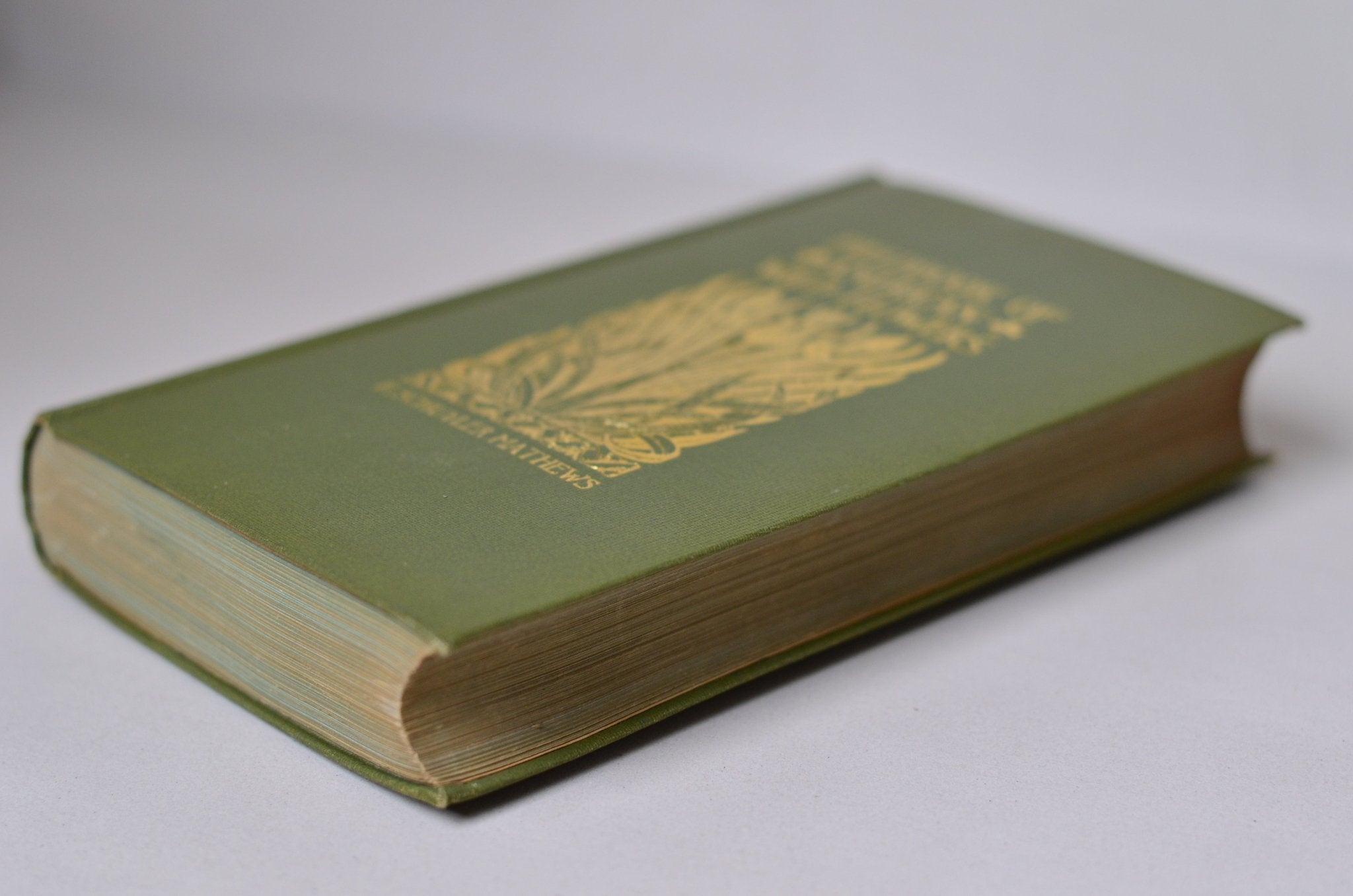 Antique Field Book of American Wild Flowers by F. Schuyler Mathews 1912 - Brookfield Books