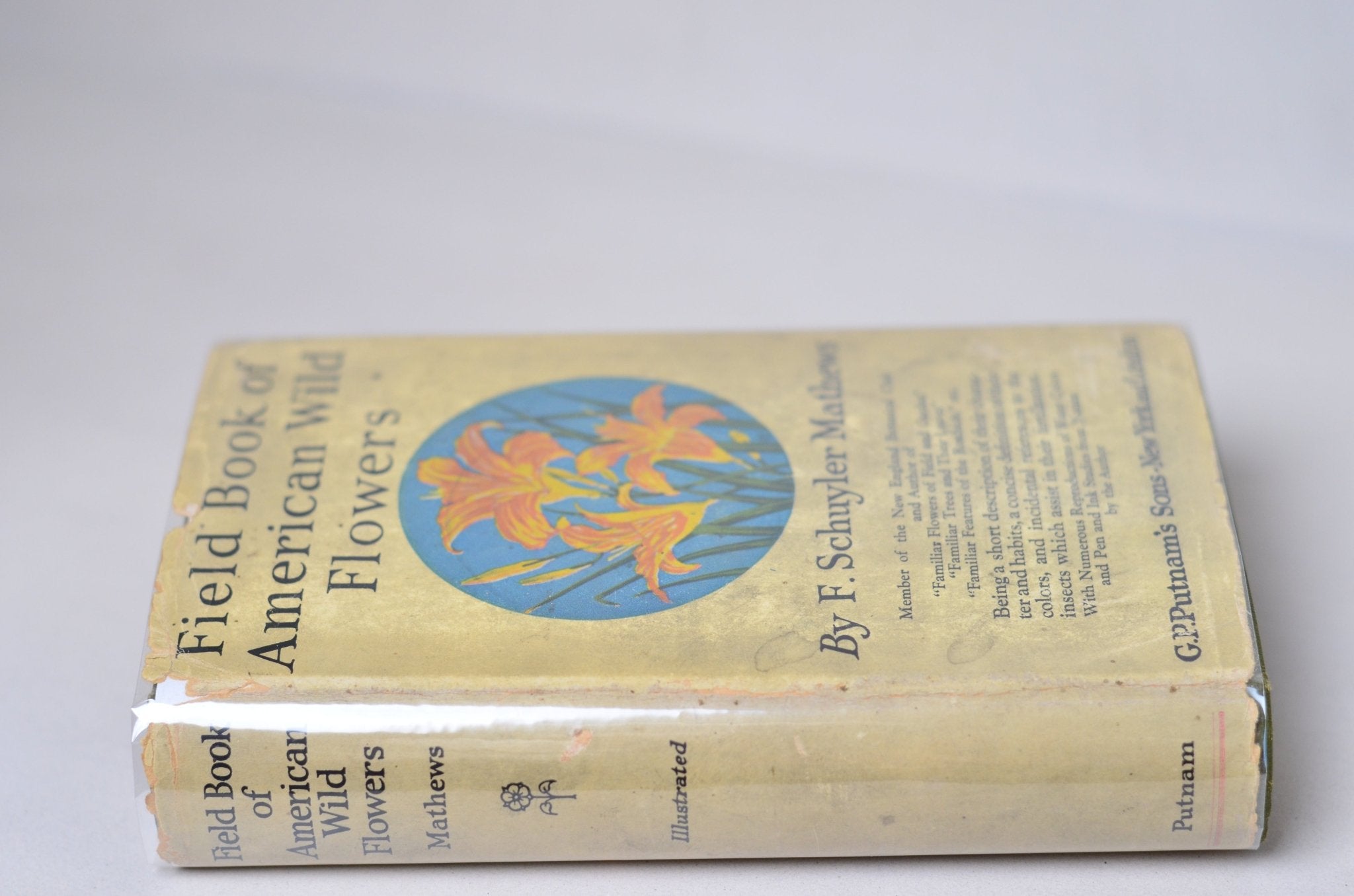 Antique Field Book of American Wild Flowers by F. Schuyler Mathews 1912 - Brookfield Books