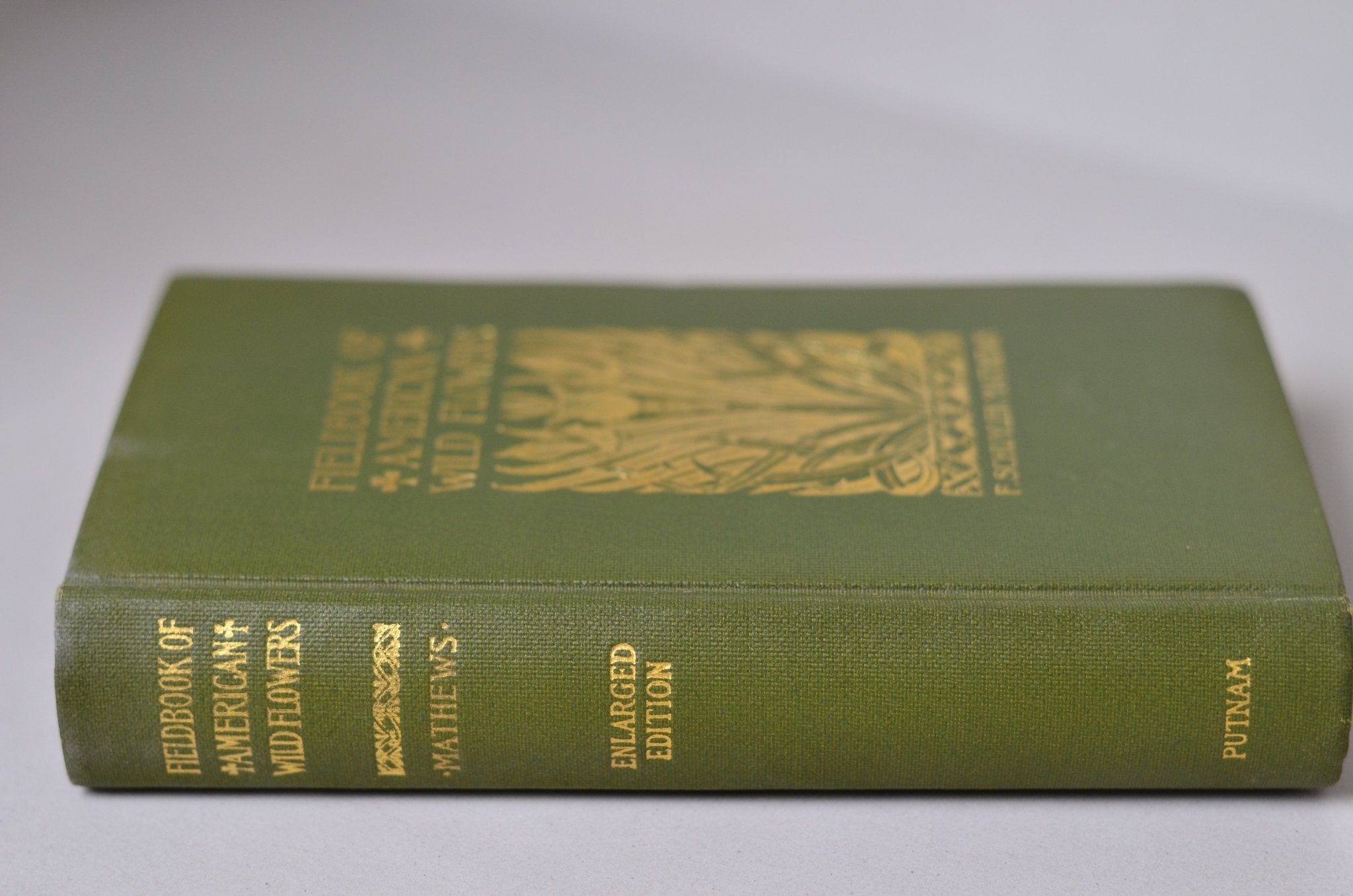 Antique Field Book of American Wild Flowers by F. Schuyler Mathews 1912 - Brookfield Books