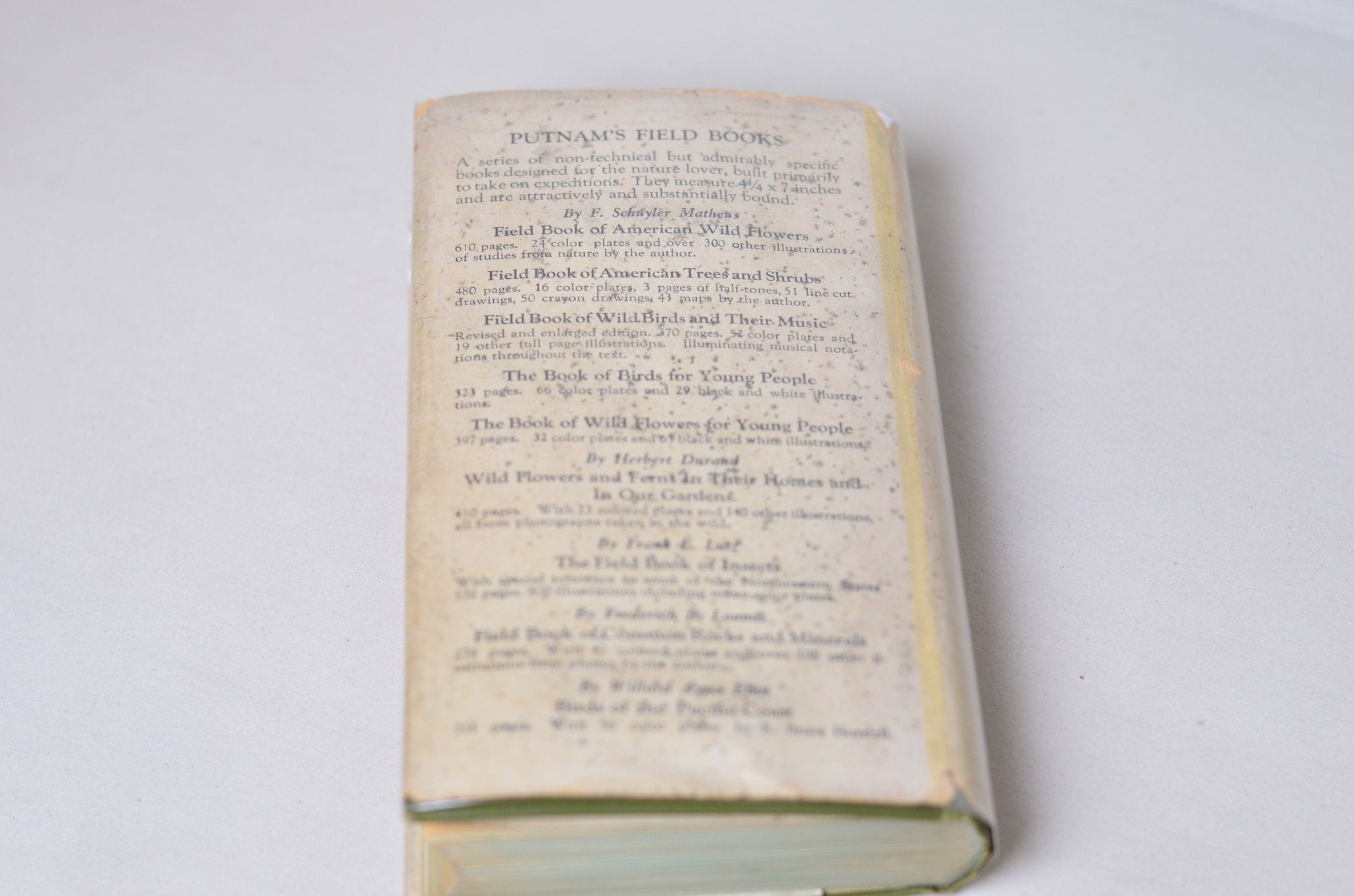 Antique Field Book of American Wild Flowers by F. Schuyler Mathews 1912 - Brookfield Books