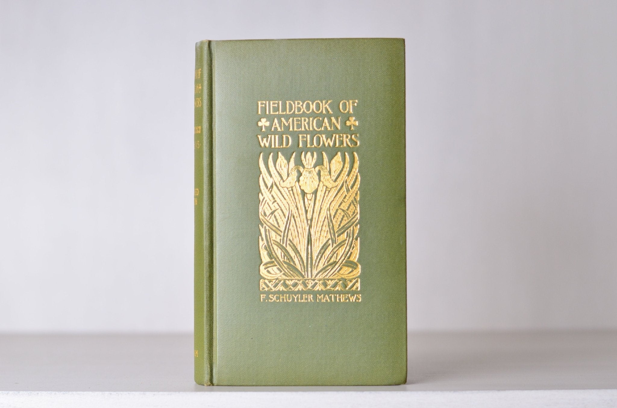 Antique Field Book of American Wild Flowers by F. Schuyler Mathews 1912 - Brookfield Books