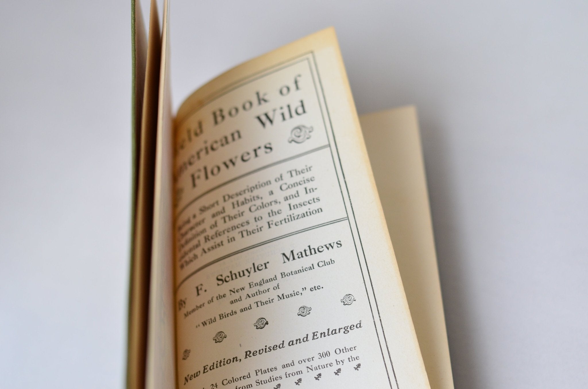 Antique Field Book of American Wild Flowers by F. Schuyler Mathews 1912 - Brookfield Books