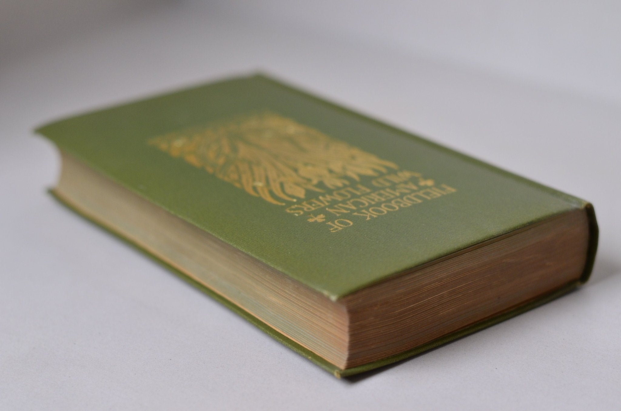 Antique Field Book of American Wild Flowers by F. Schuyler Mathews 1912 - Brookfield Books