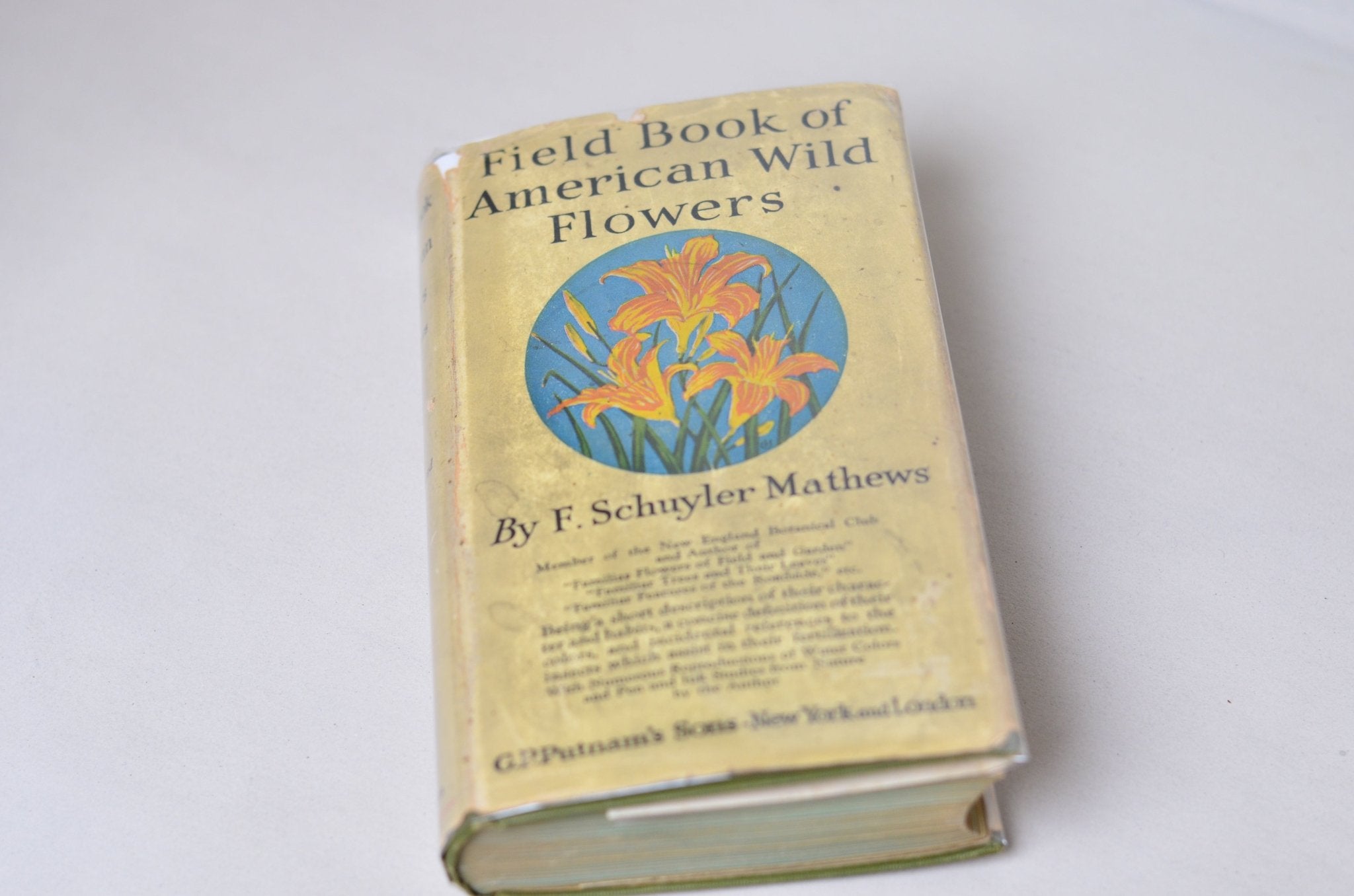 Antique Field Book of American Wild Flowers by F. Schuyler Mathews 1912 - Brookfield Books
