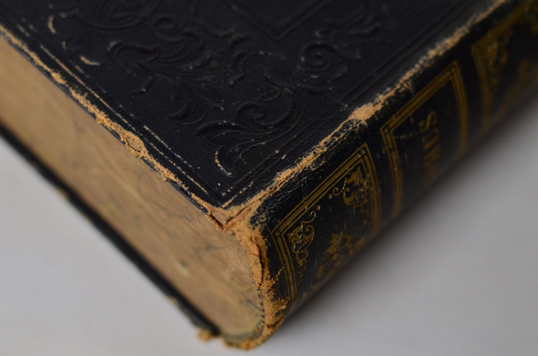 Antique Full Leather Bound Works of Flavius Josephus 1851 - Brookfield Books