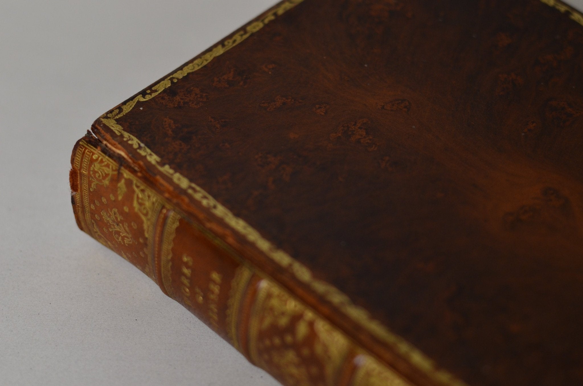 Antique Full Leather Tree Calf Binding The Works of Edmund Spenser 1909 - Brookfield Books