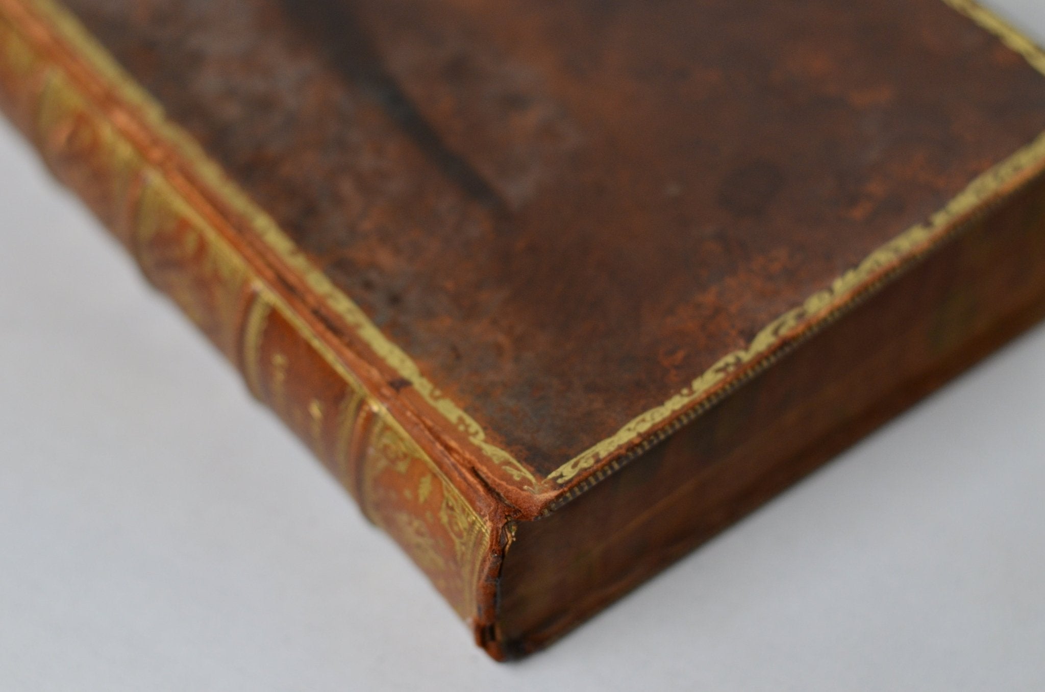 Antique Full Leather Tree Calf Binding The Works of Edmund Spenser 1909 - Brookfield Books