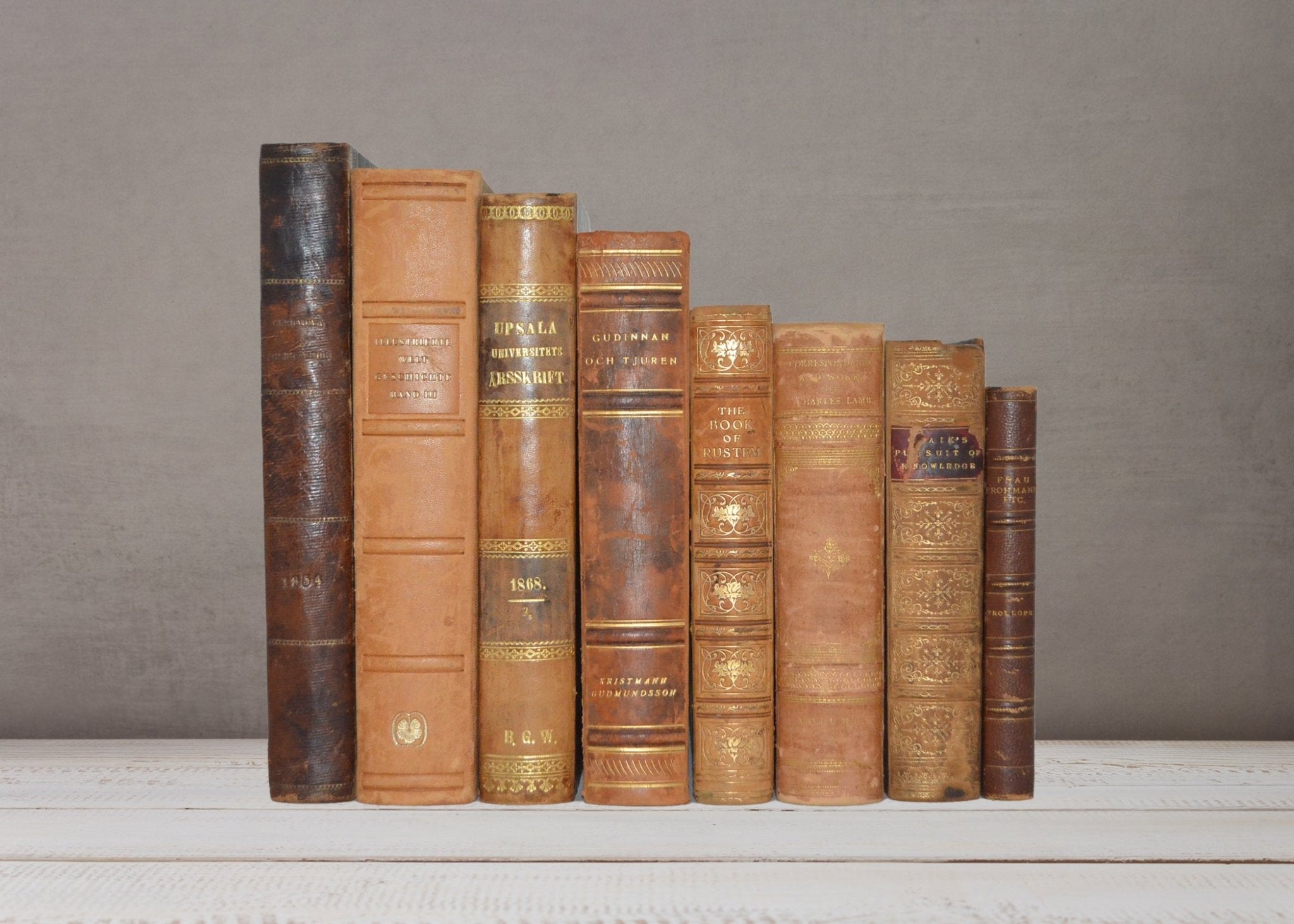 Antique Leather Bound Book Décor 1 Foot Carmel Brown – Charles Lamb - Brookfield Books