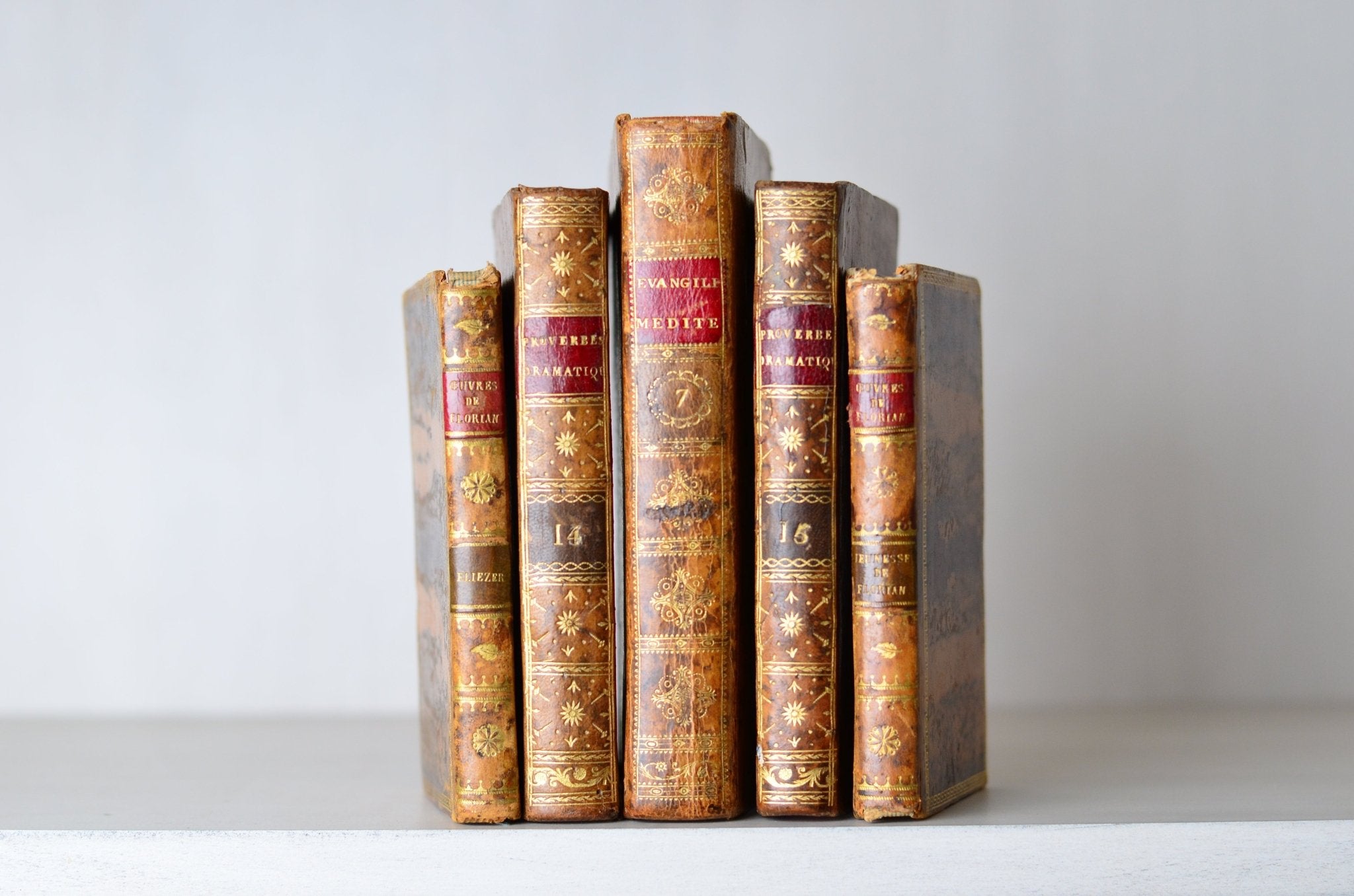 Antique Leather Bound Book Decor - 18th Century, Brown, French, Fine Bindings - Brookfield Books