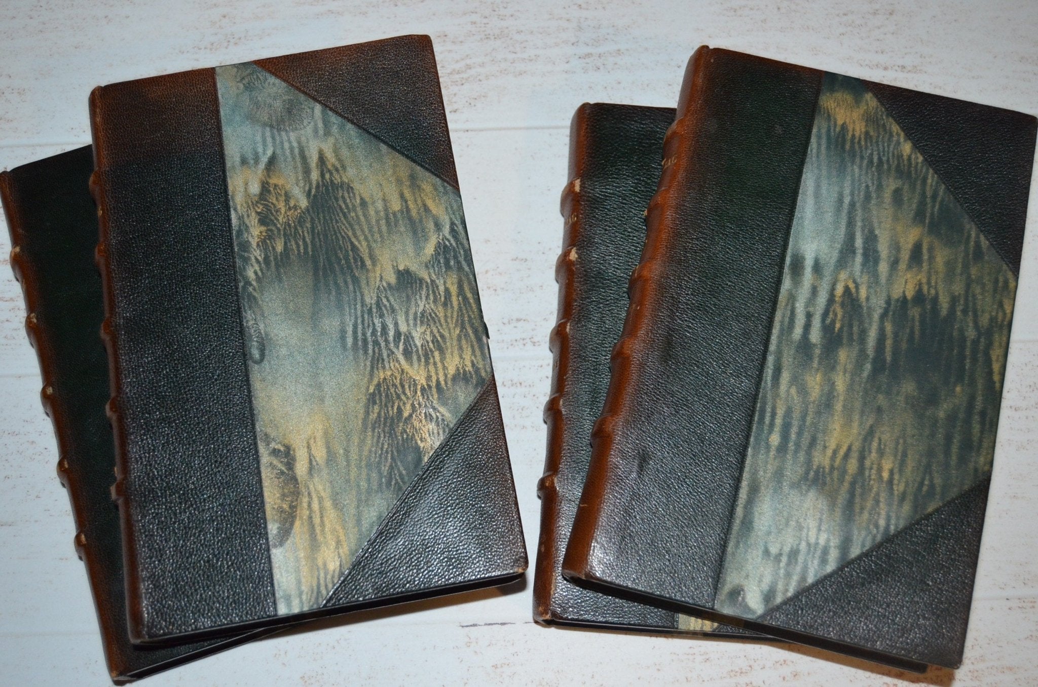 Antique Leather Bound Book Décor 6” Brown – Honore de Balzac – Fleur de Lis - Multiple - Brookfield Books
