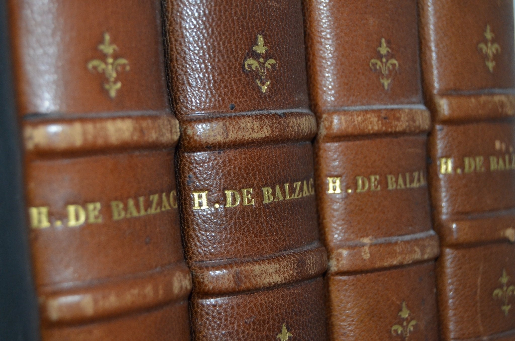 Antique Leather Bound Book Décor 6” Brown – Honore de Balzac – Fleur de Lis - Multiple - Brookfield Books