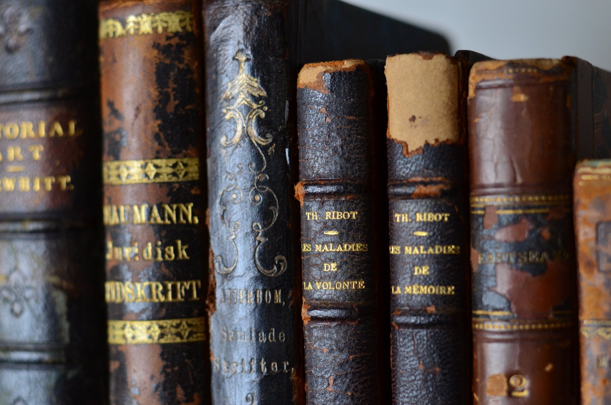 Dark Brown Antique Leather Book Set – 8 Books, John Tyrwhitt