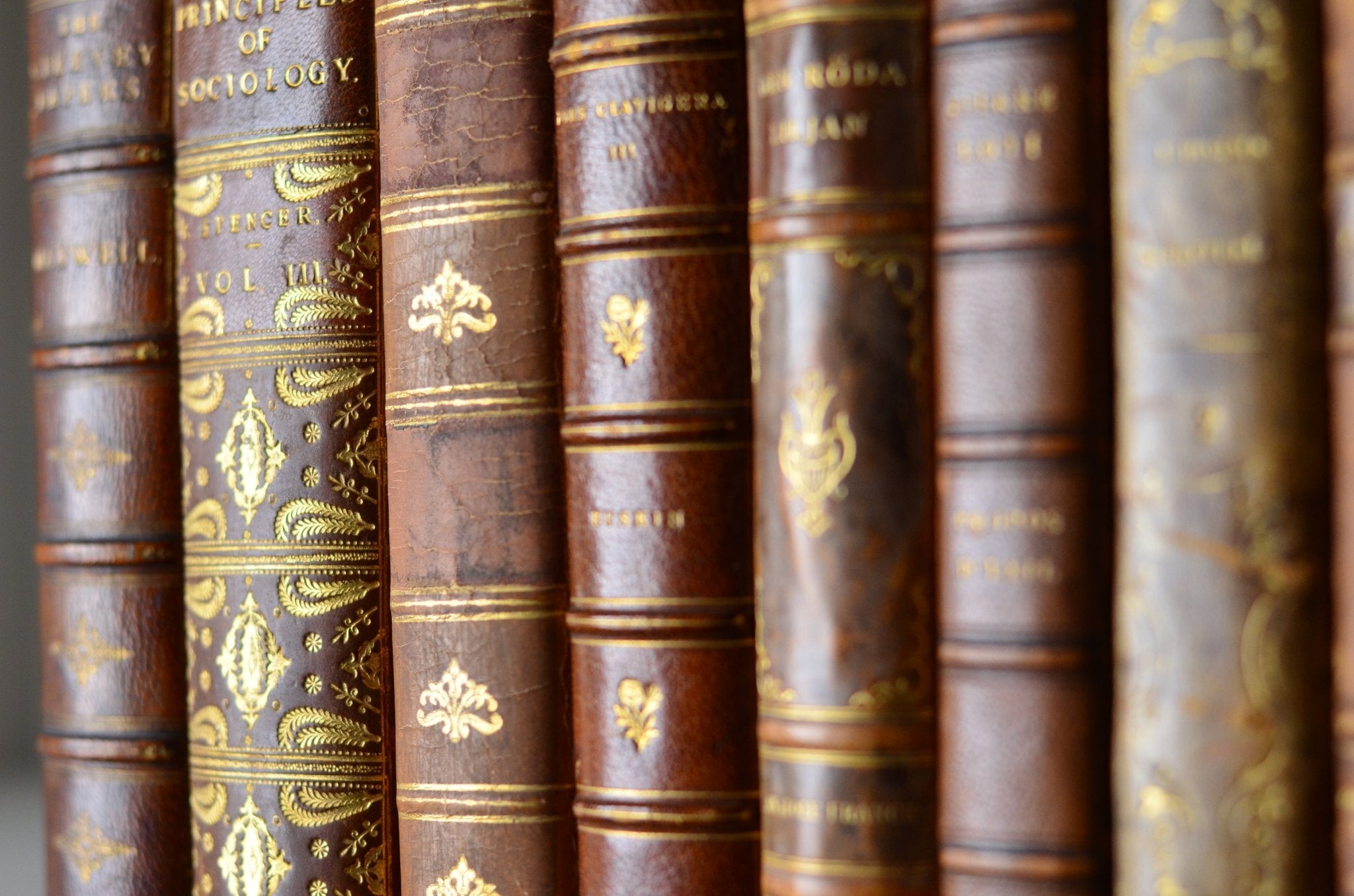 Dark Brown Antique Leather Book Set – 8 Books, Herbert Spencer