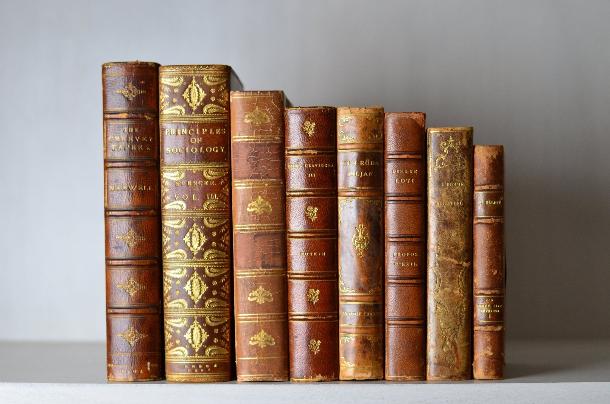 Antique Leather Bound Book Decor - Brown, Herbert Spencer, 1873 - 1904 - Brookfield Books