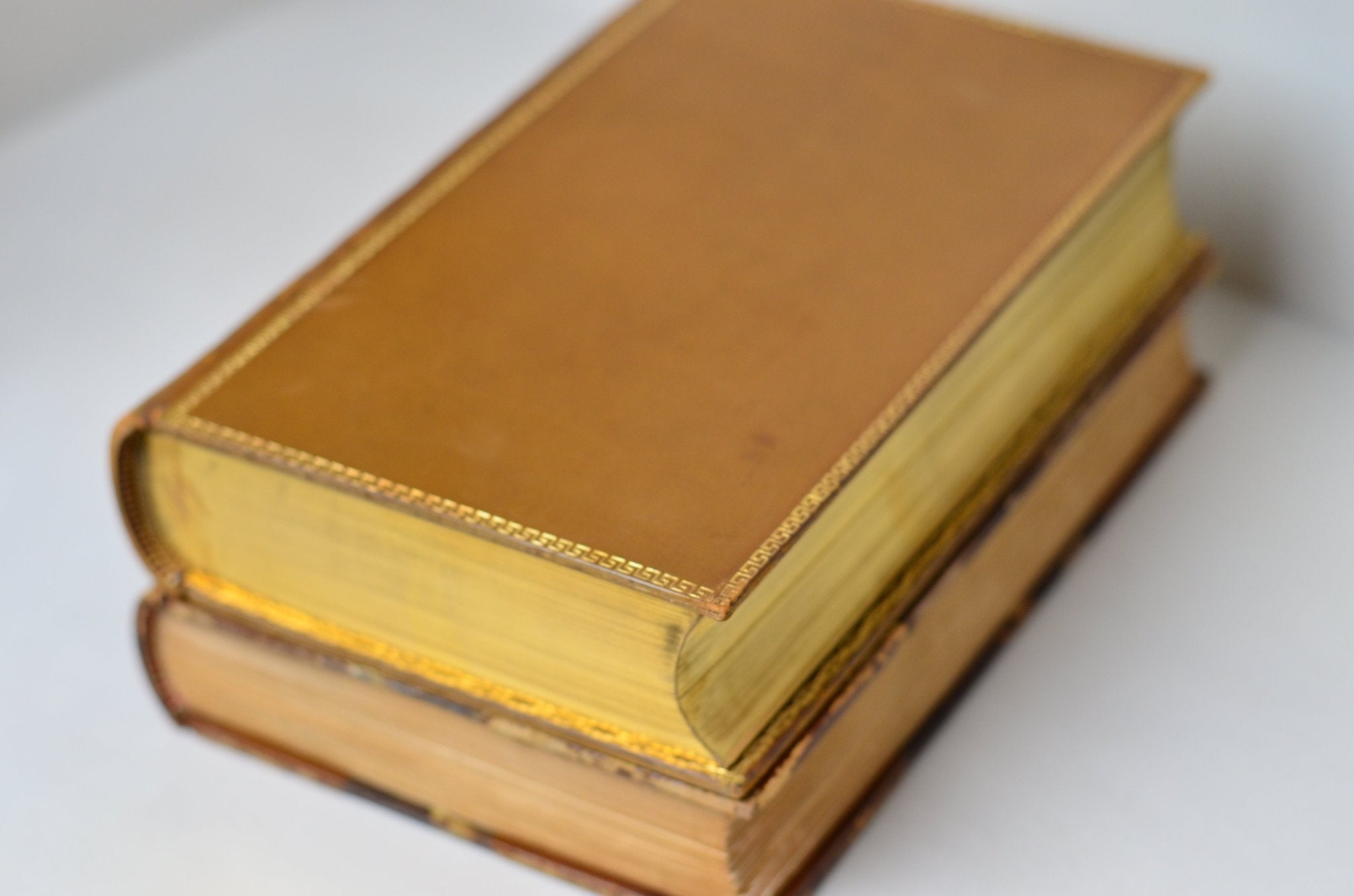 Dark Brown Antique Leather Book Set – 8 Books, Herbert Spencer