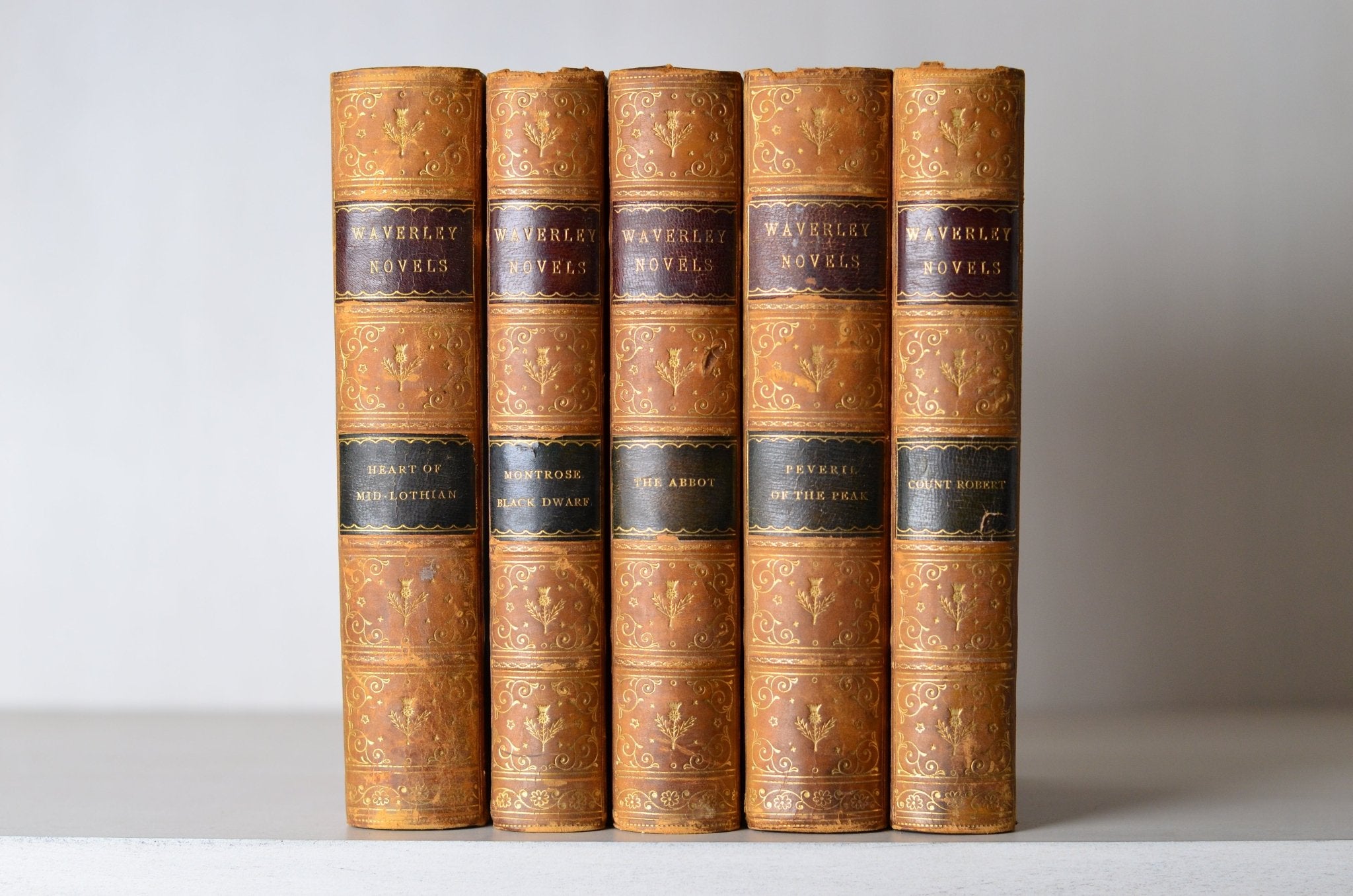 Light Brown Antique Leather Book Set – 5 Books, Sir Walter Scott