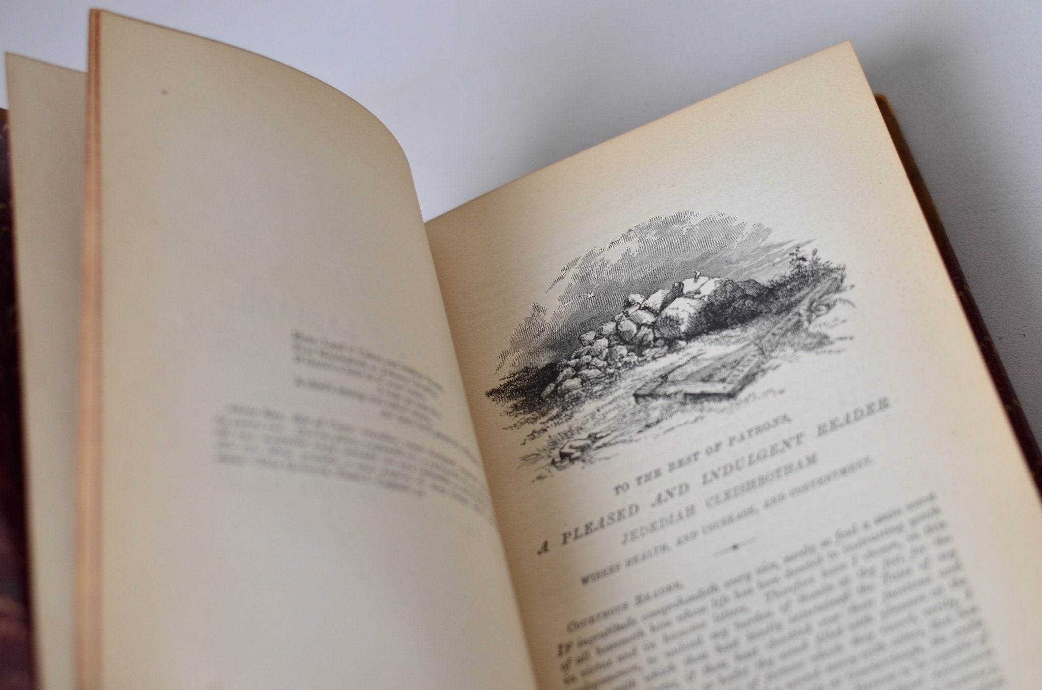 Antique Leather Bound Book Decor - Brown, Sir Walter Scott, 1871 - Brookfield Books