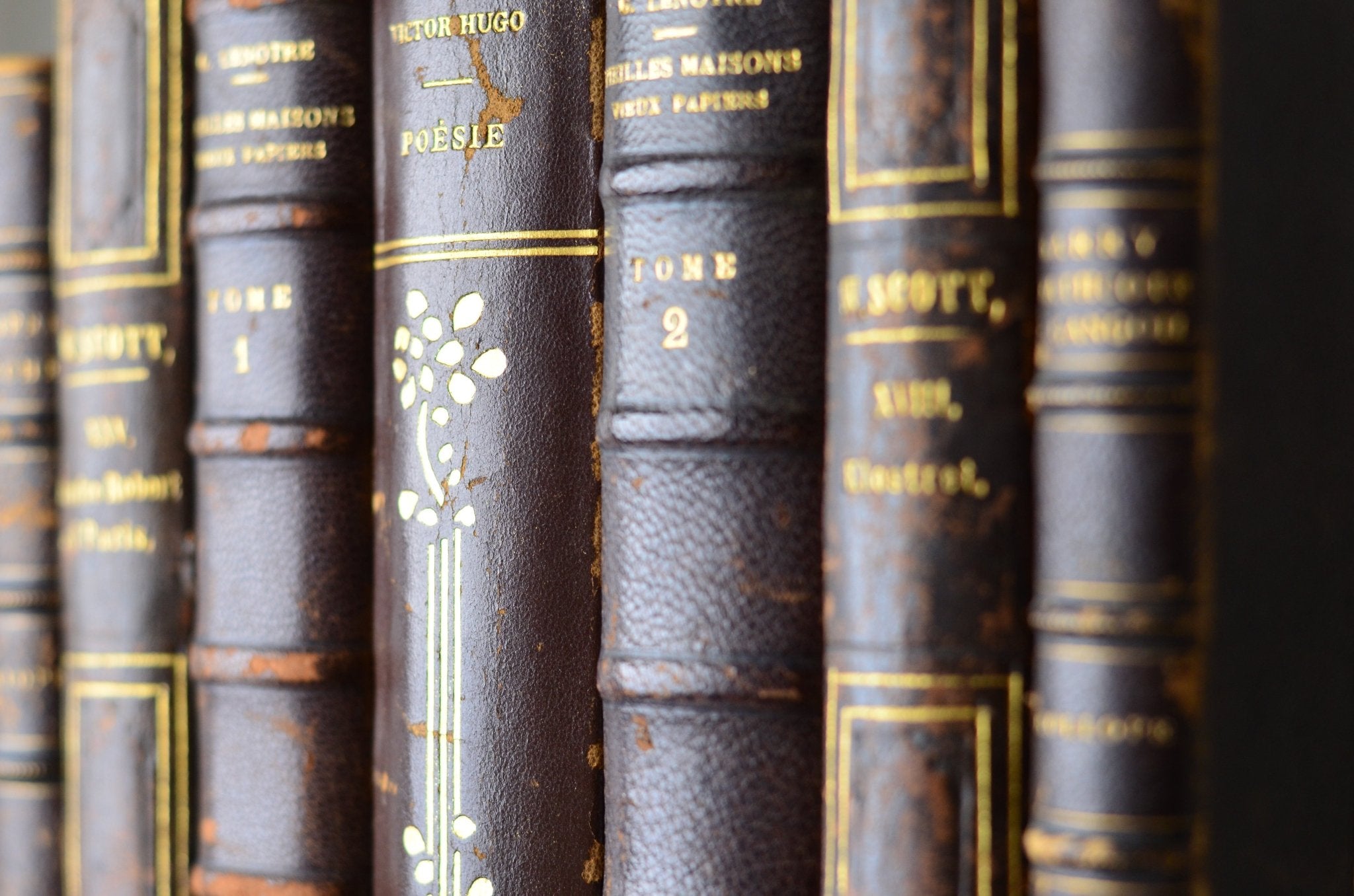 Dark Brown Antique Leather Book Set – 7 Books, Victor Hugo
