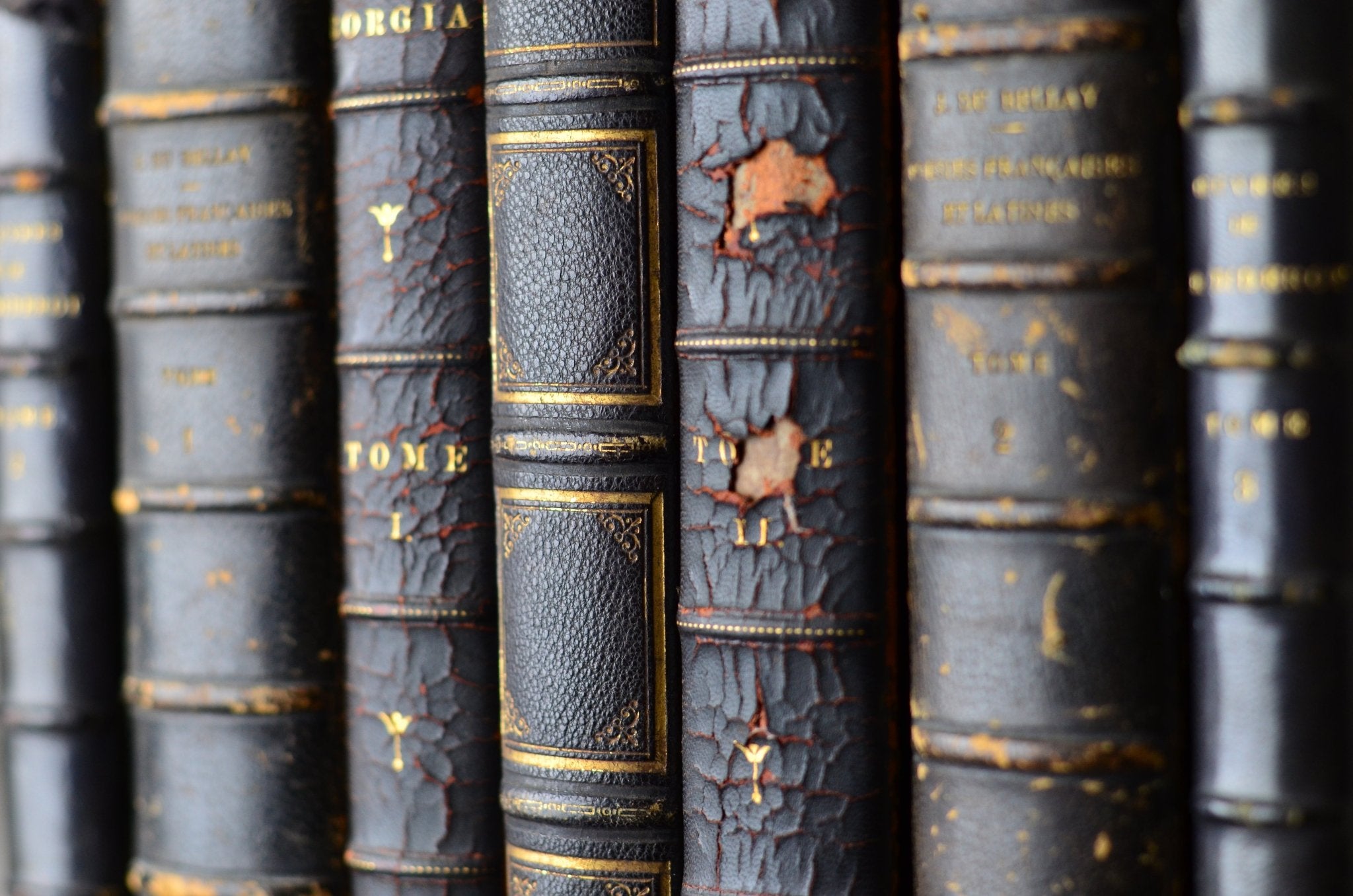 Antique Leather Bound Book Decor - Dark Navy Blue, Saint Louis IX of France - Brookfield Books