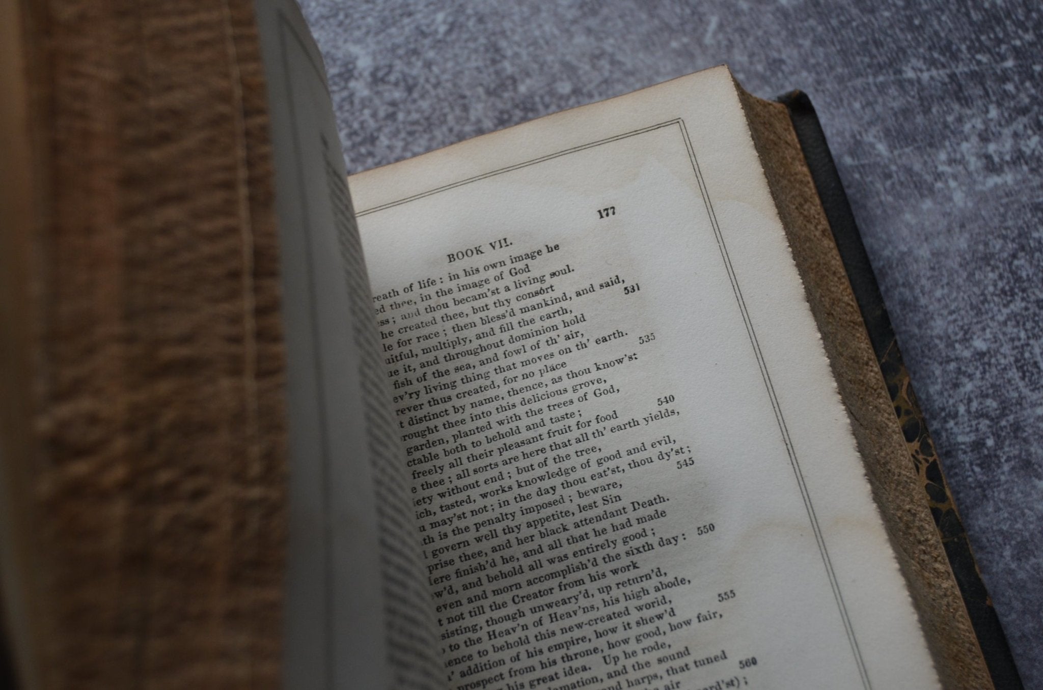 Antique Leather Bound Book Décor – John Milton, Michel de Montaigne, Michelangelo 1853 - Brookfield Books
