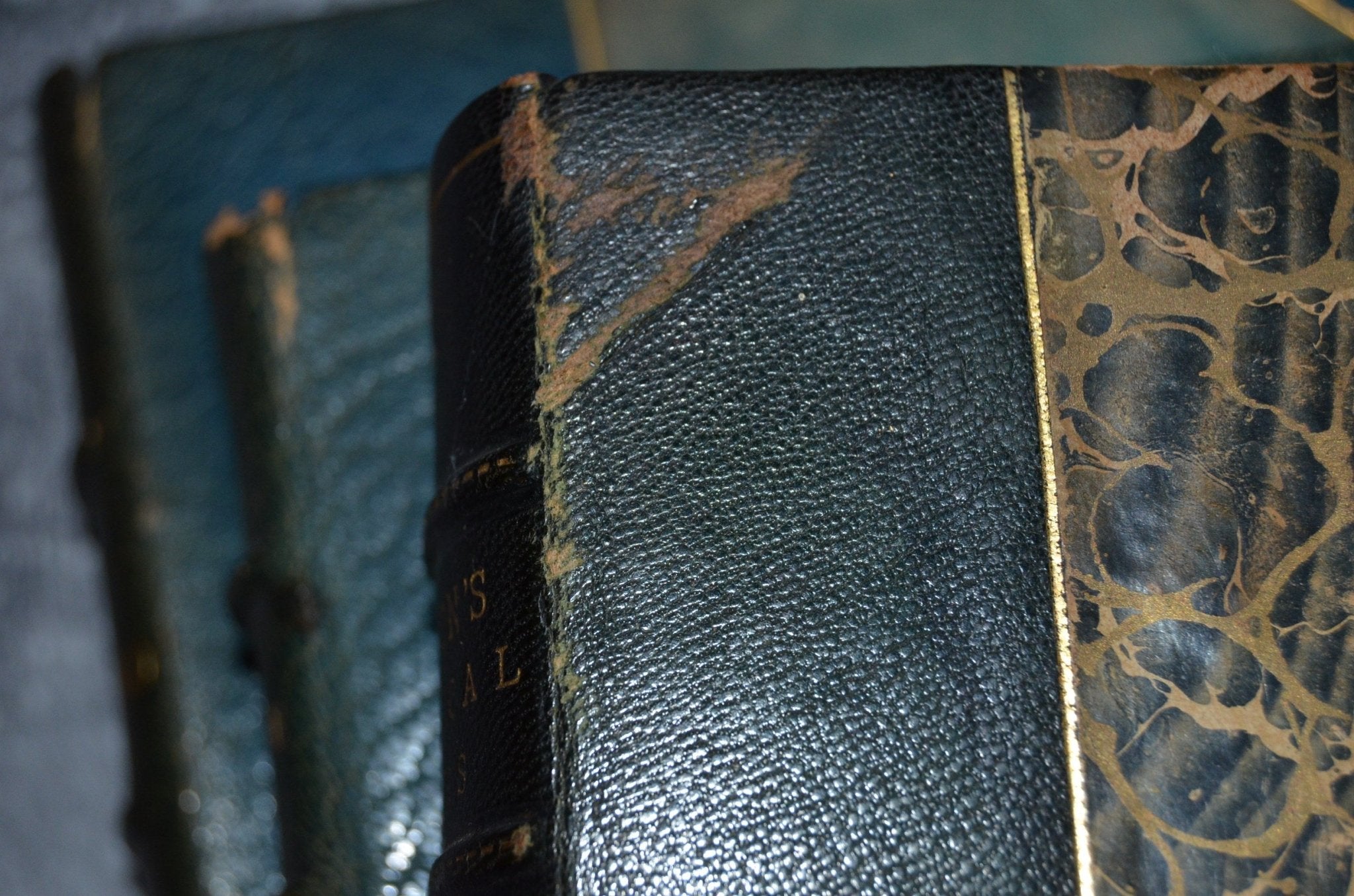 Antique Leather Bound Book Décor – John Milton, Michel de Montaigne, Michelangelo 1853 - Brookfield Books