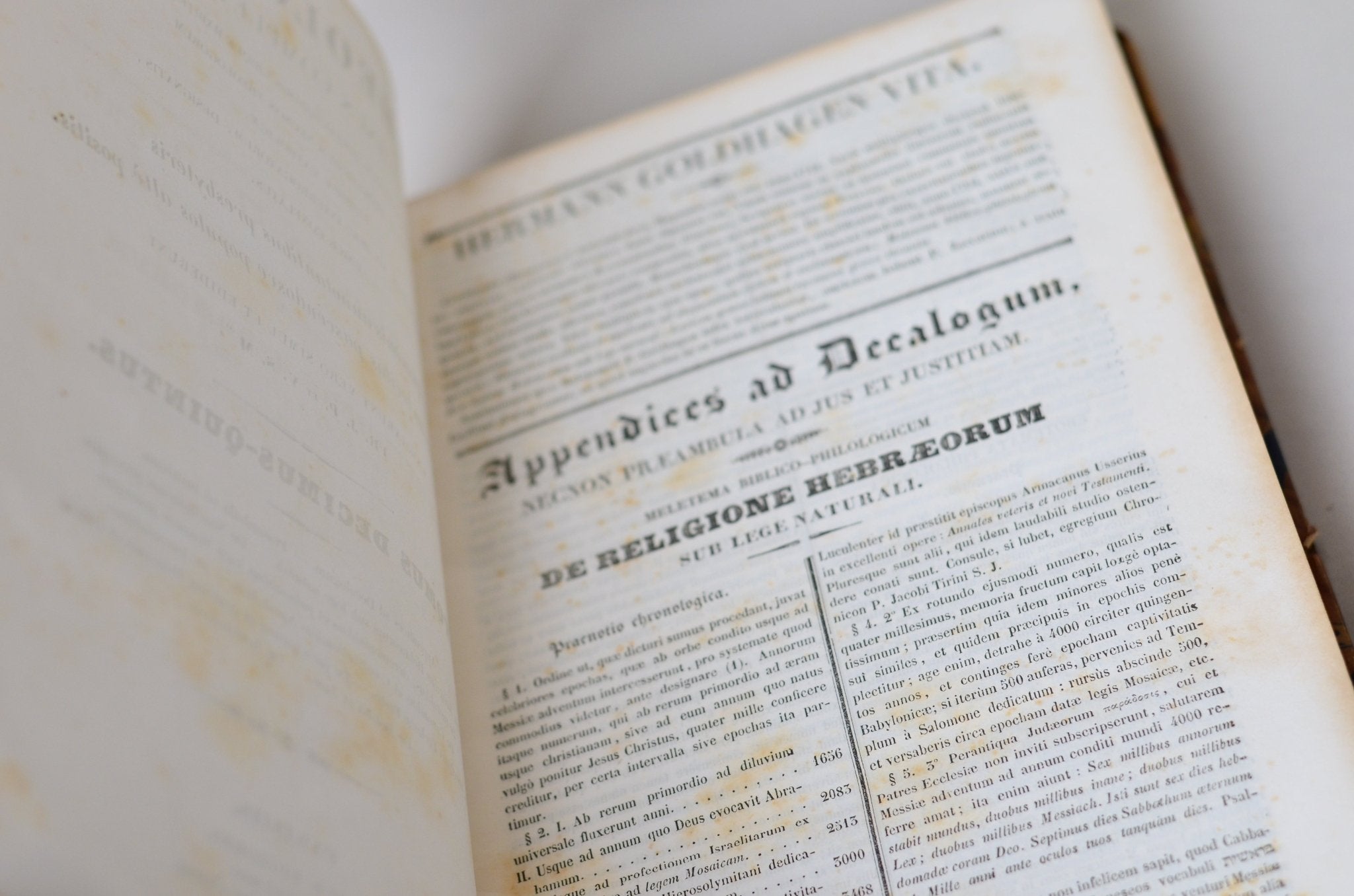 Antique Leather Bound Book Decor - Oversize, Brown, Complete Course in Theology, Latin 1839 - Brookfield Books