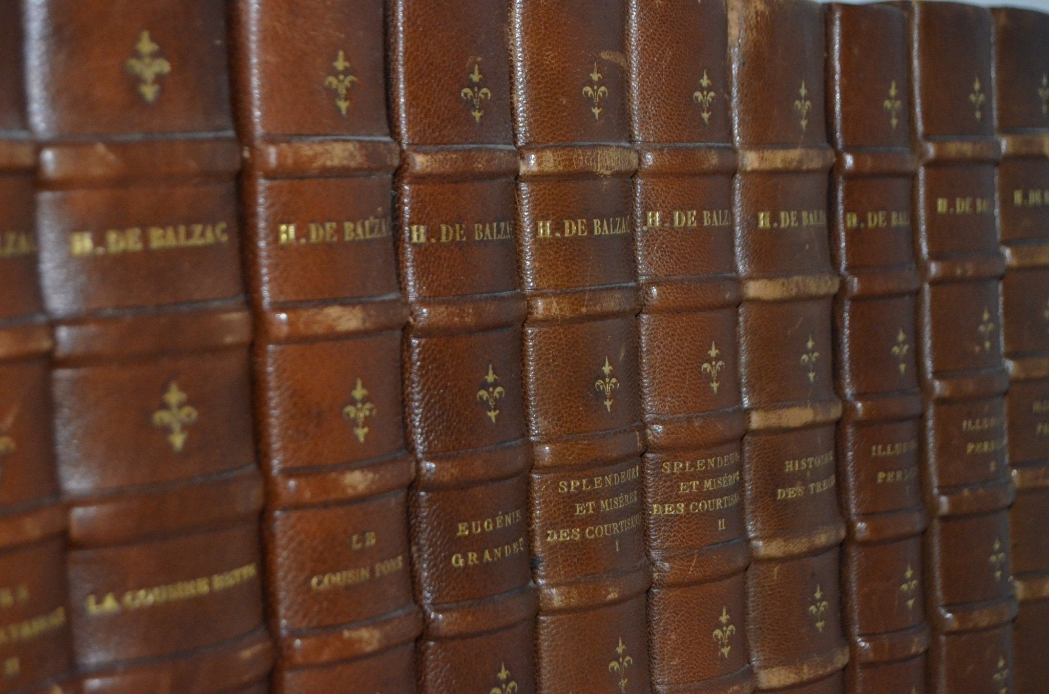 Antique Leather Bound The Human Comedy (La Comédie Humaine) by Honroe de Balzac 1900 - Brookfield Books