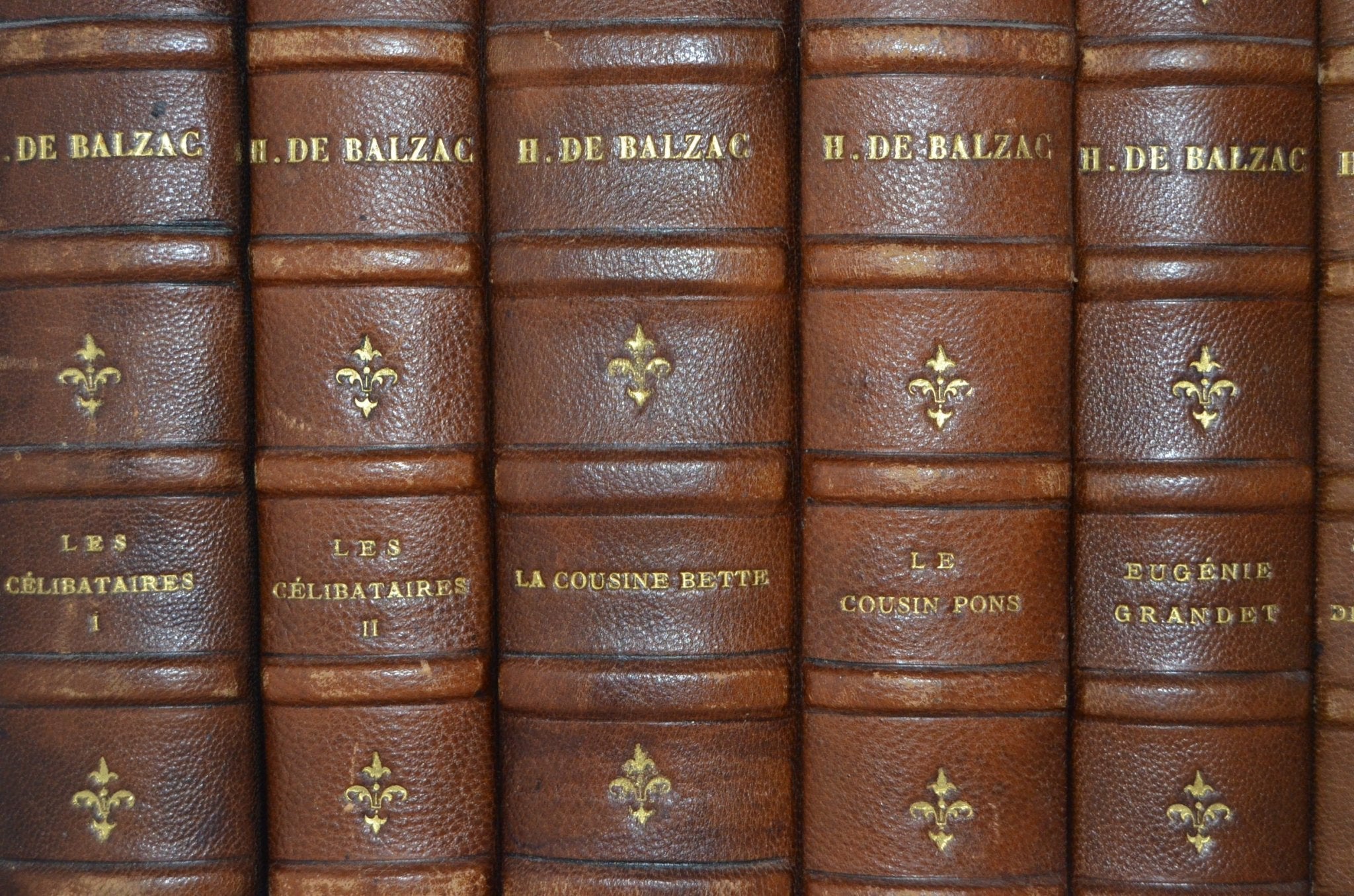 Antique Leather Bound The Human Comedy (La Comédie Humaine) by Honroe de Balzac 1900 - Brookfield Books