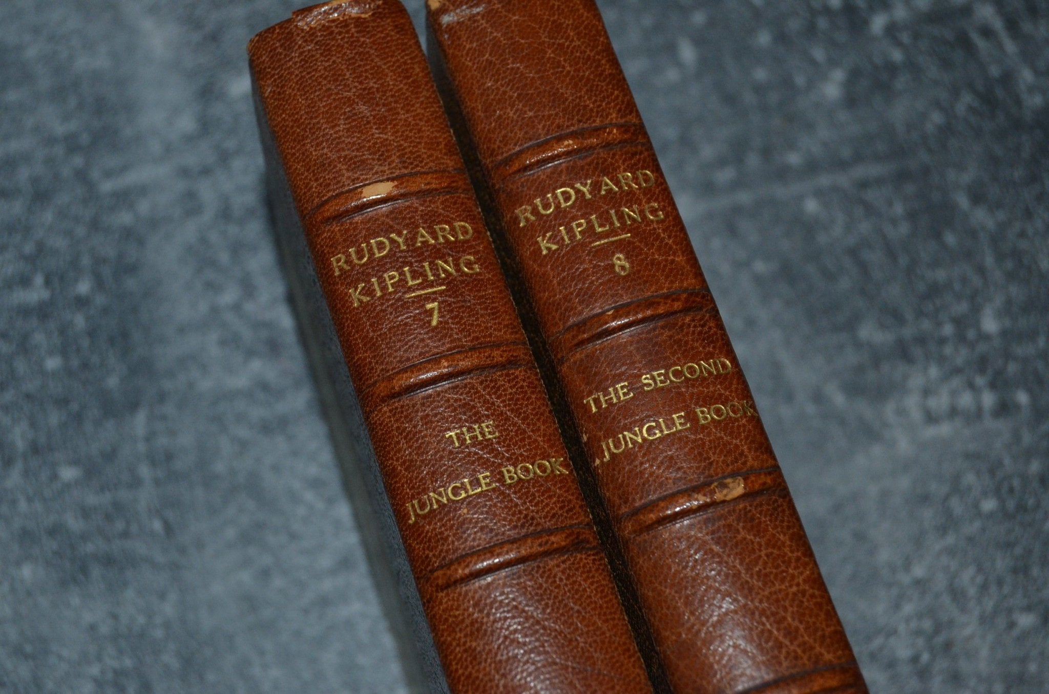 Antique Leather Bound The Jungle Book by Rudyard Kipling 1913 - Brookfield Books