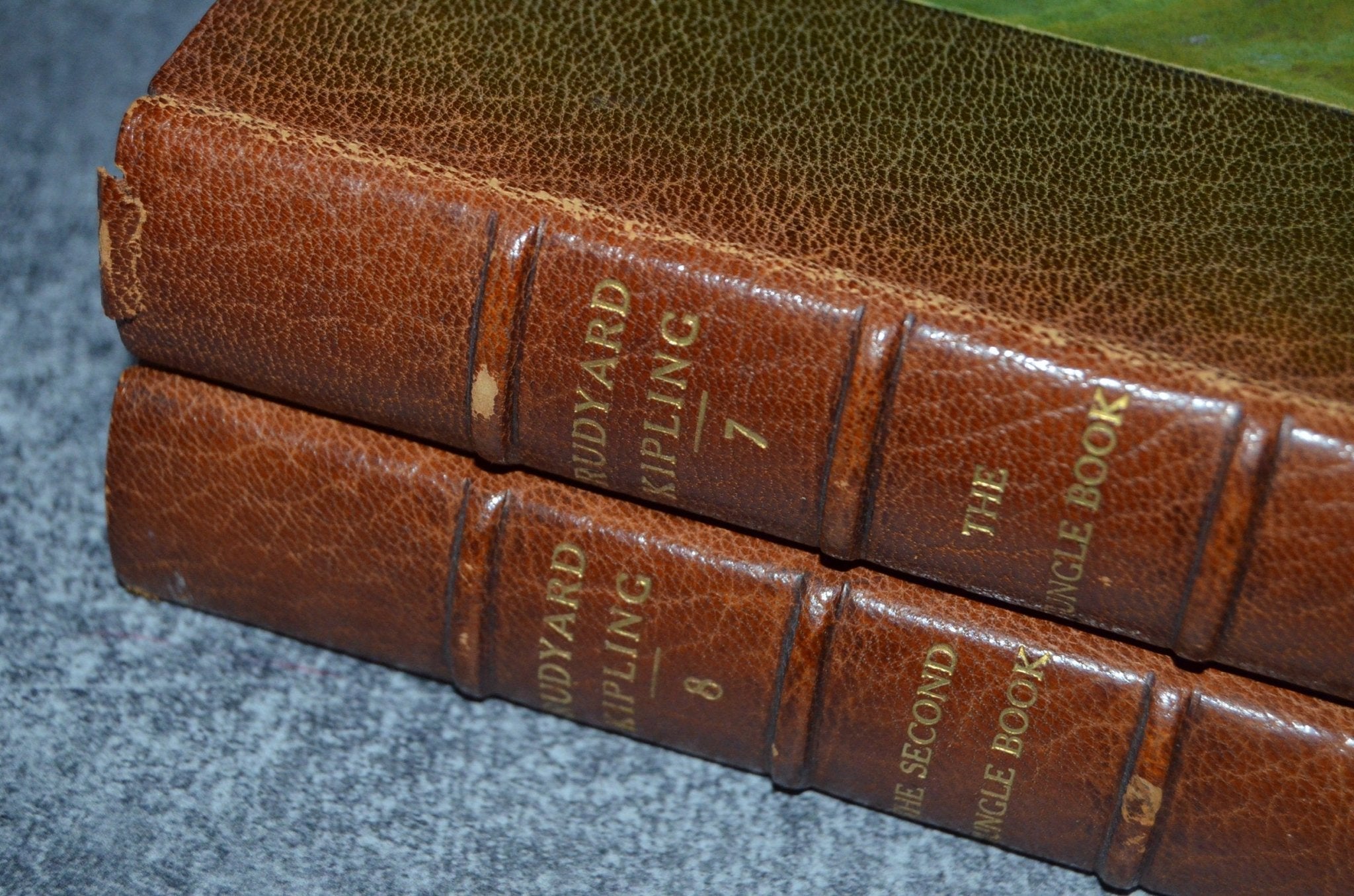 Antique Leather Bound The Jungle Book by Rudyard Kipling 1913 - Brookfield Books