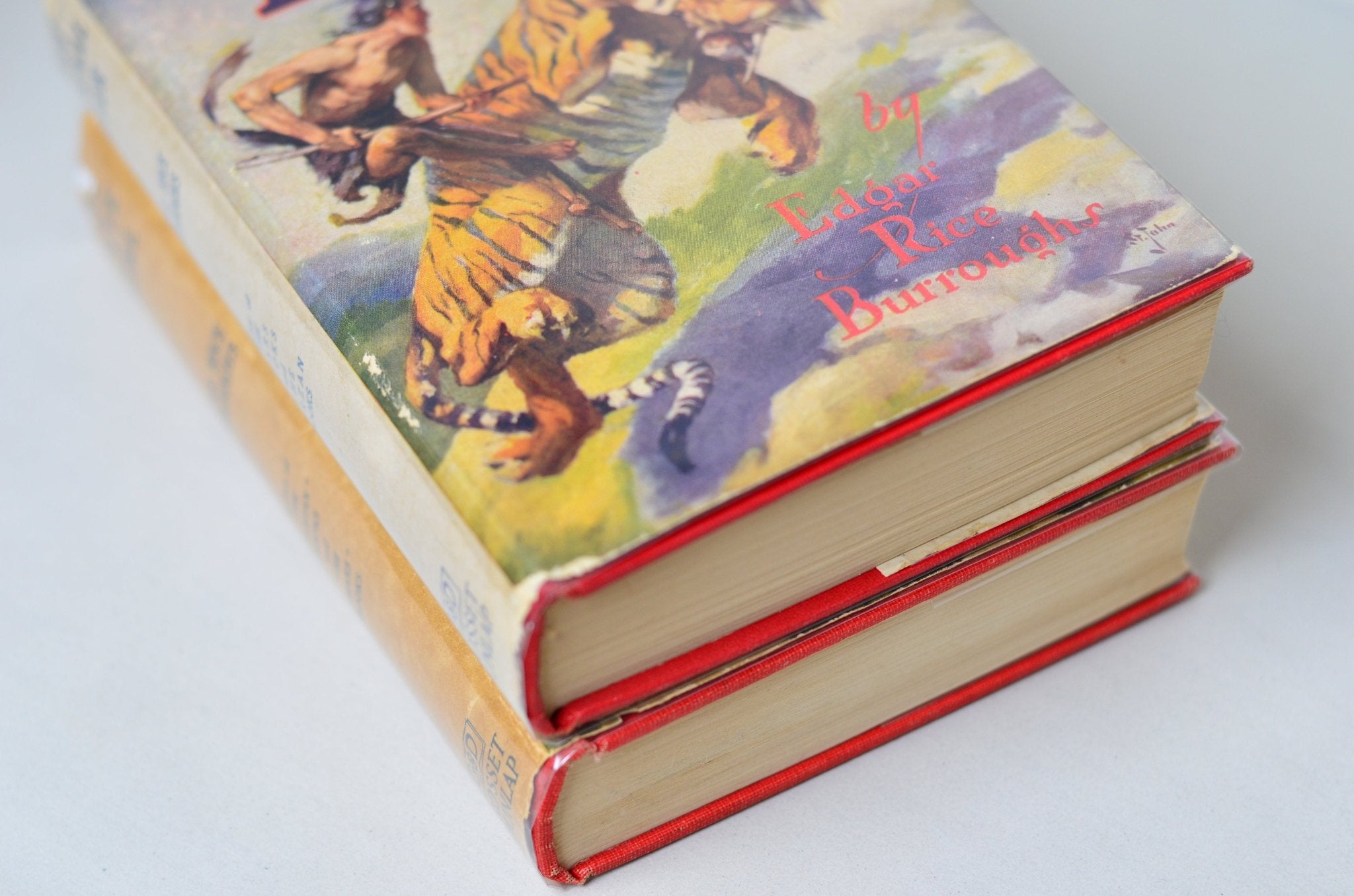 Antique The Cave Girl & The Eternal Lover by Edgar Rice Burroughs 1925 - Brookfield Books