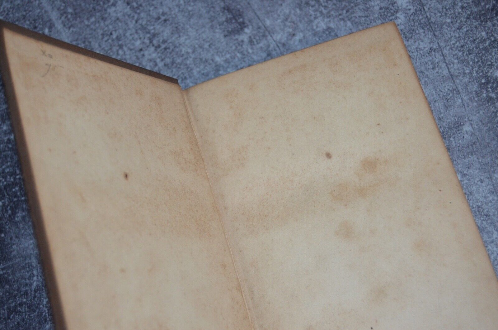 Antique Victorian Binding Poetical Works of John Milton – Thomas Y Crowell - Brookfield Books