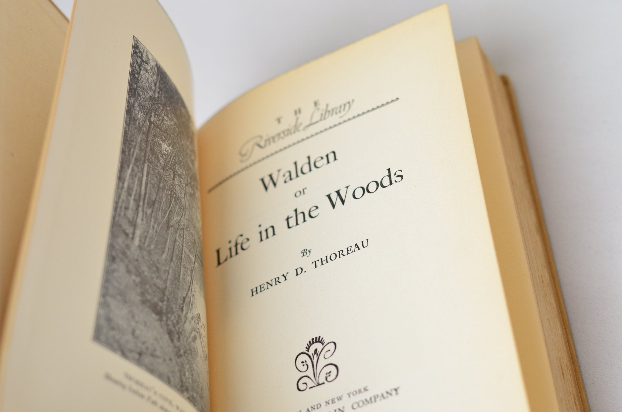 Antique Walden by Henry David Thoreau 1906 - Brookfield Books
