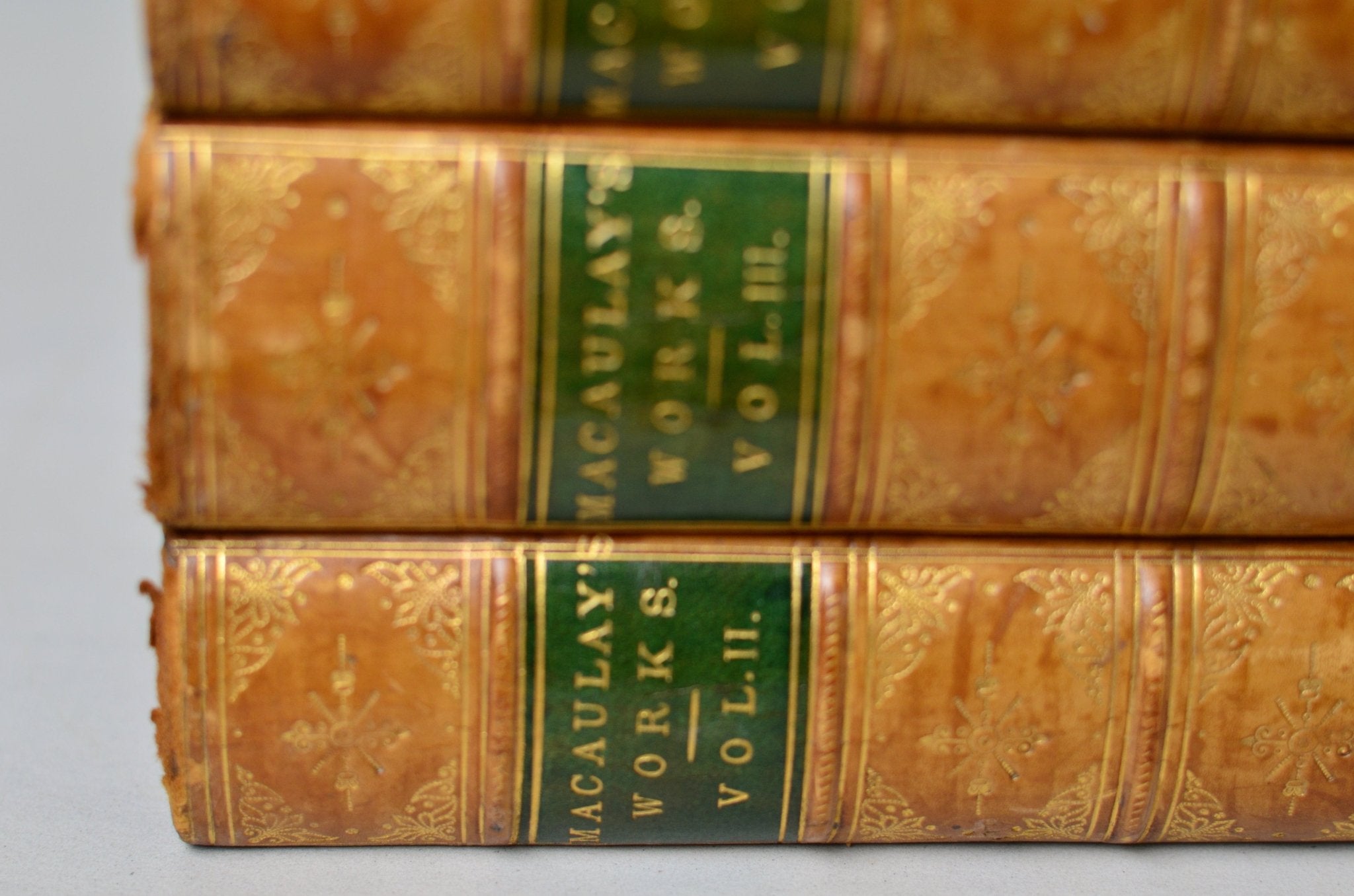 Complete Antique Leather Bound Works of Lord Thomas Macaulay 1873 - Brookfield Books