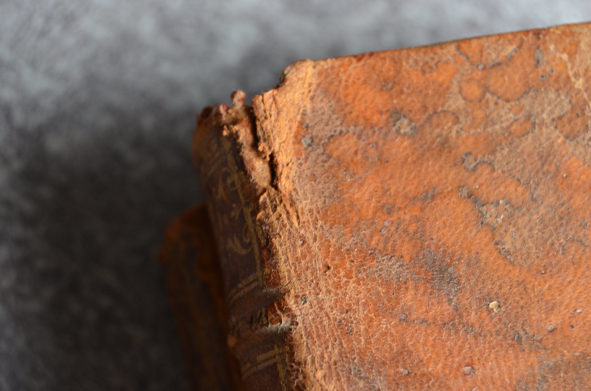 18th - 19th Century Antique Leather Bound Set - Rousseau - Brookfield Books