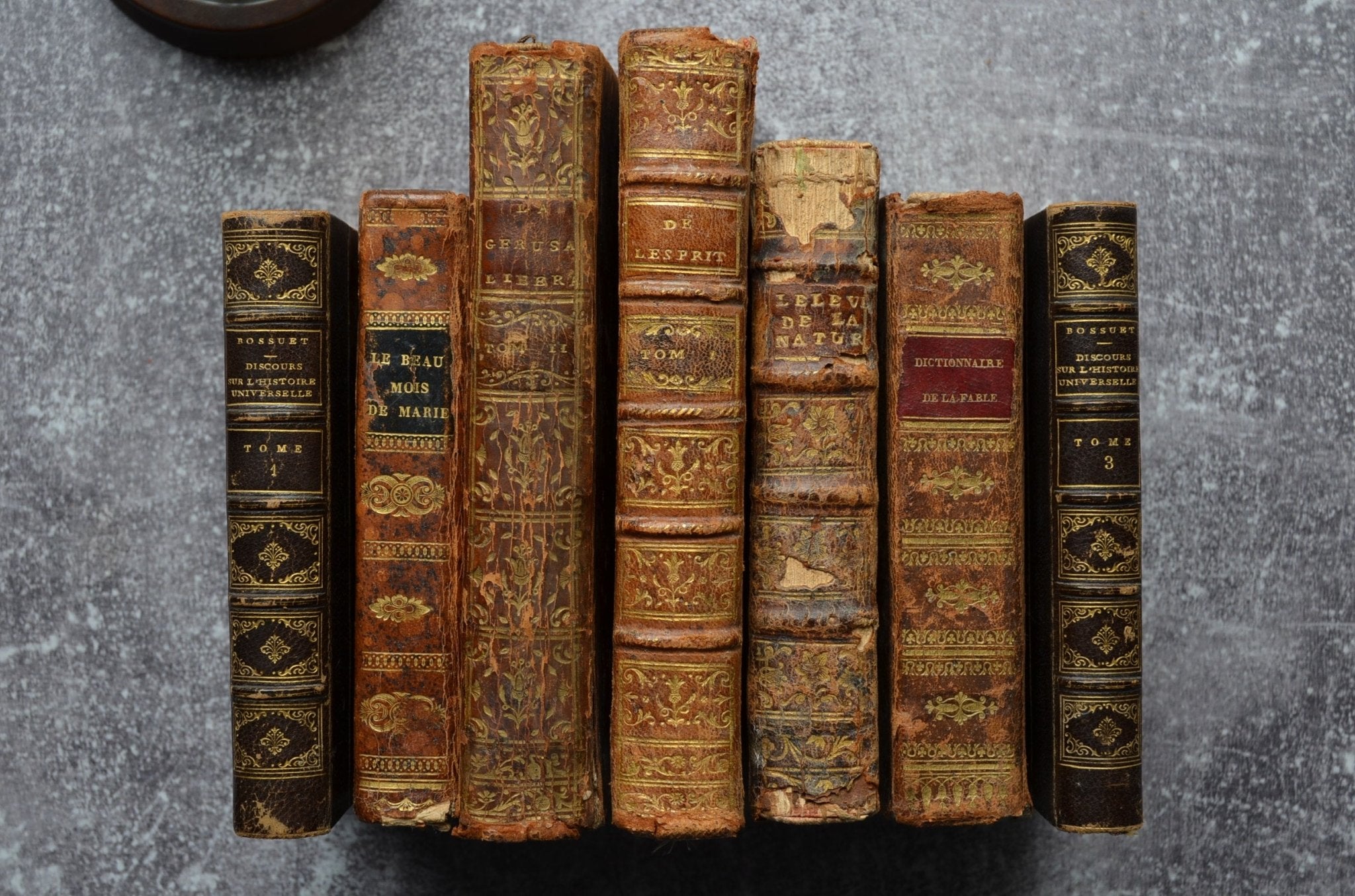 18th - 19th Century Antique Leather Bound Set - Rousseau - Brookfield Books