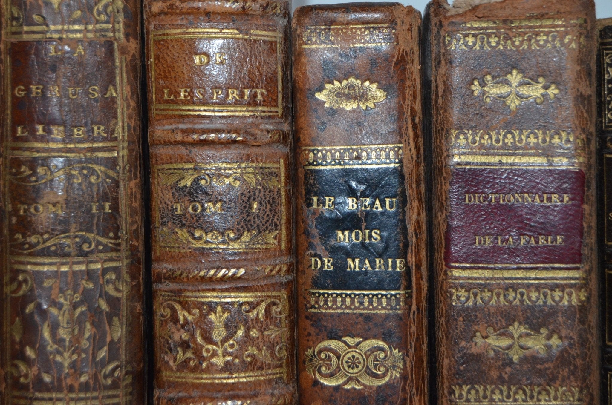 18th - 19th Century Antique Leather Bound Set - Rousseau - Brookfield Books